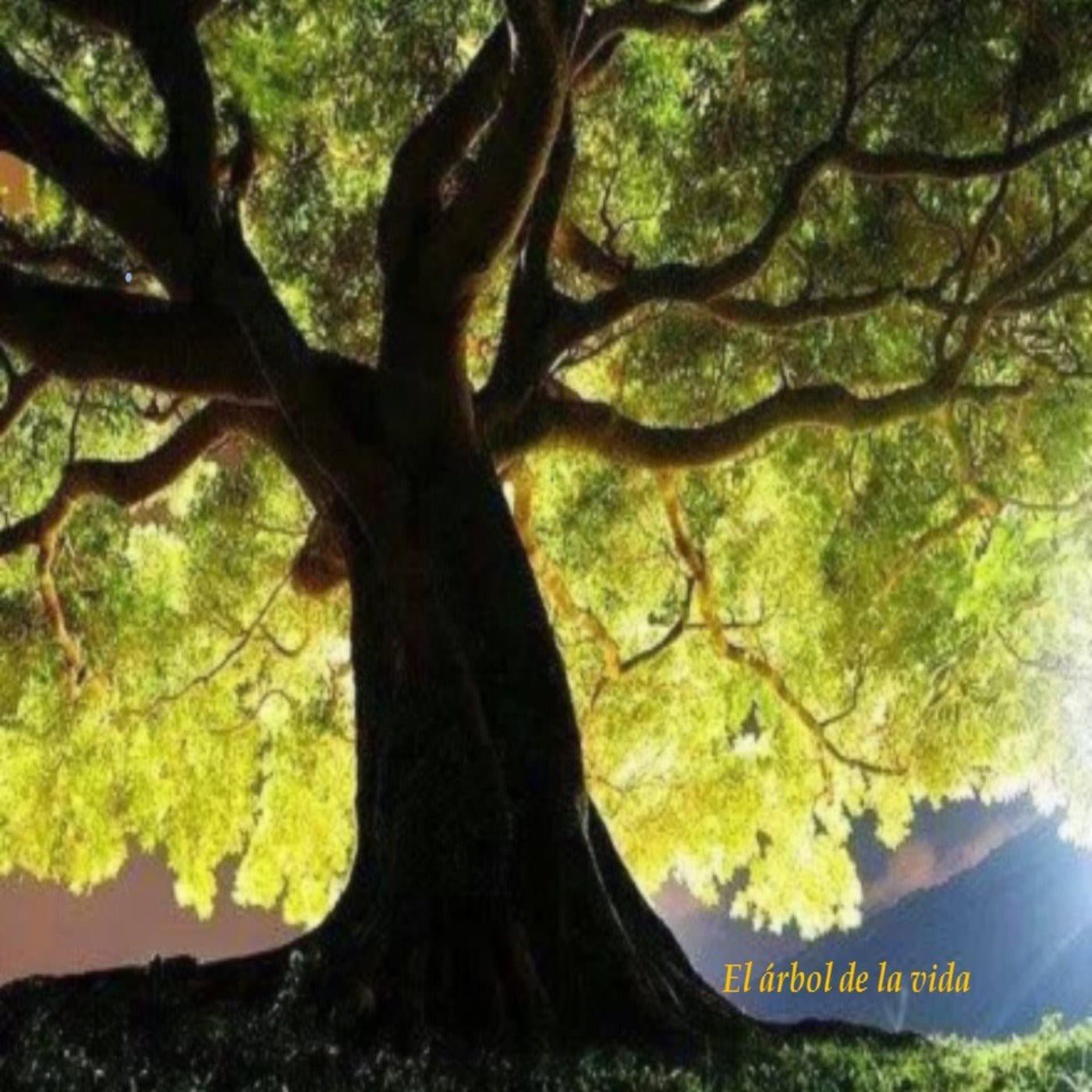 Podcast El árbol de la vida - Podcasts