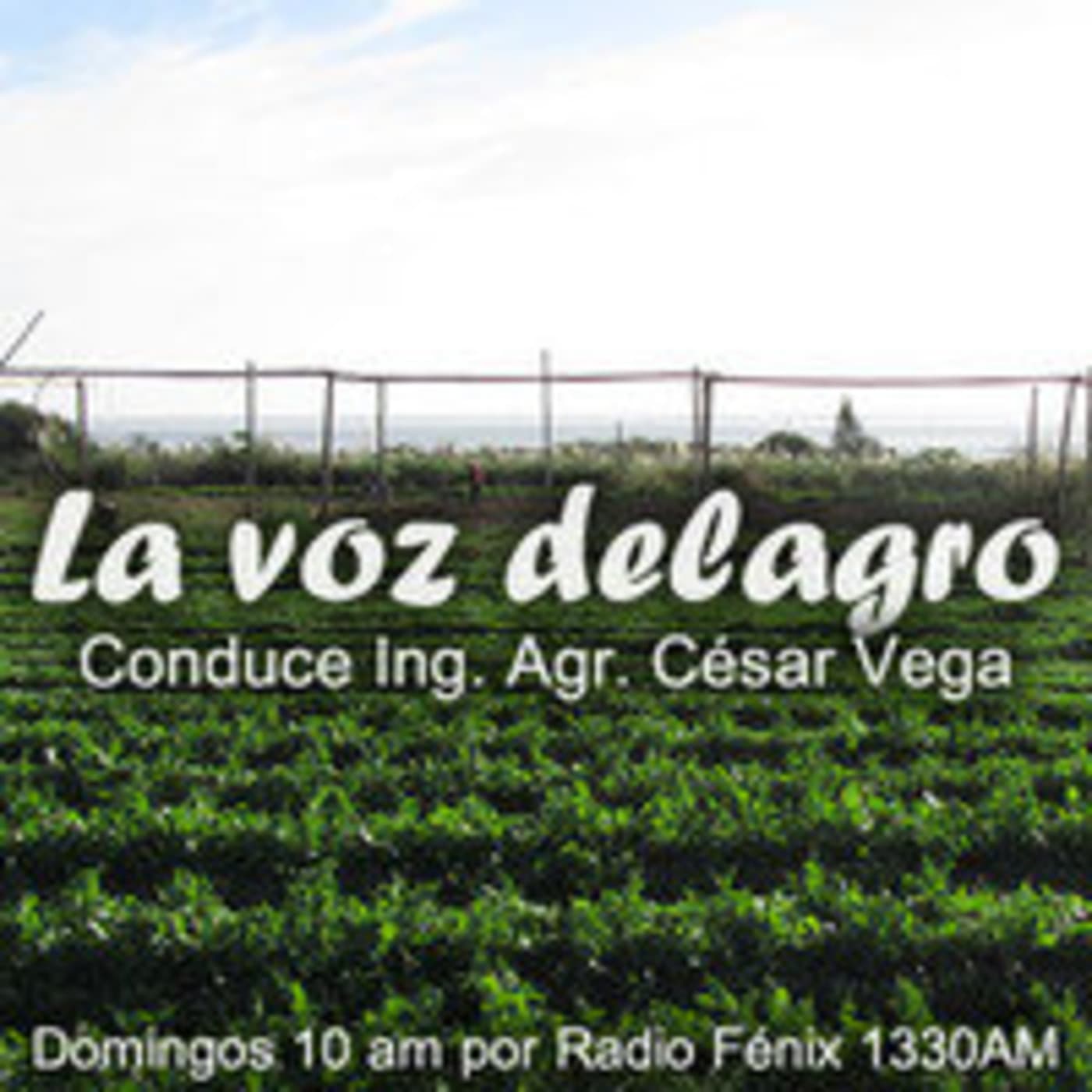 La voz de los domingos delagro - Podcasts