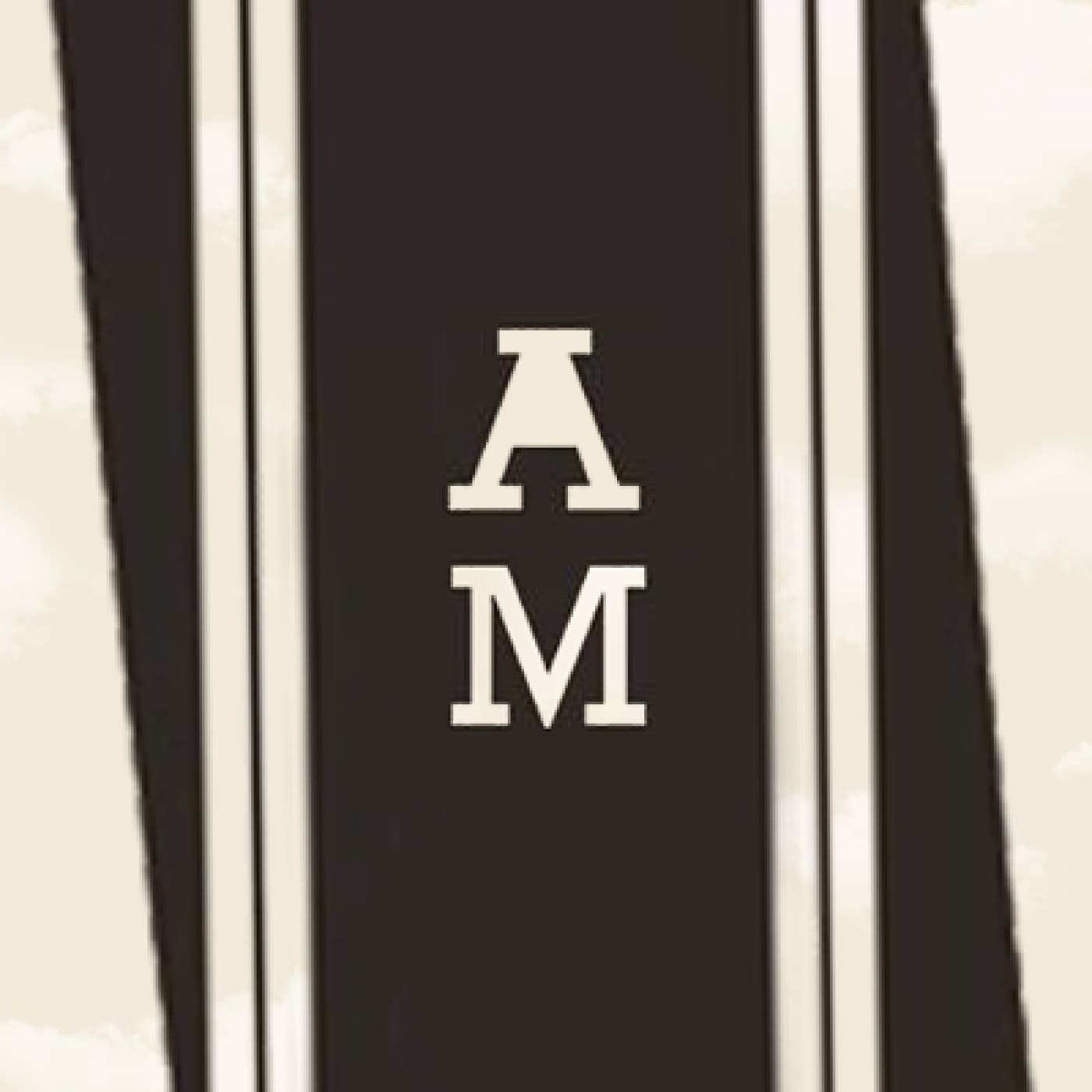 Al Margen - Podcasts