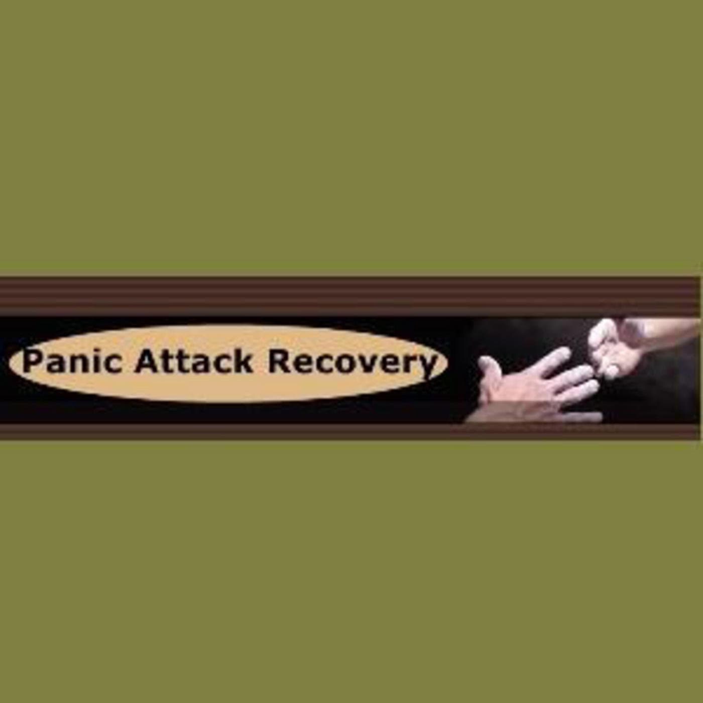 Panic Attacks Recovery and Anxiety Agoraphobia Hel - Podcastler
