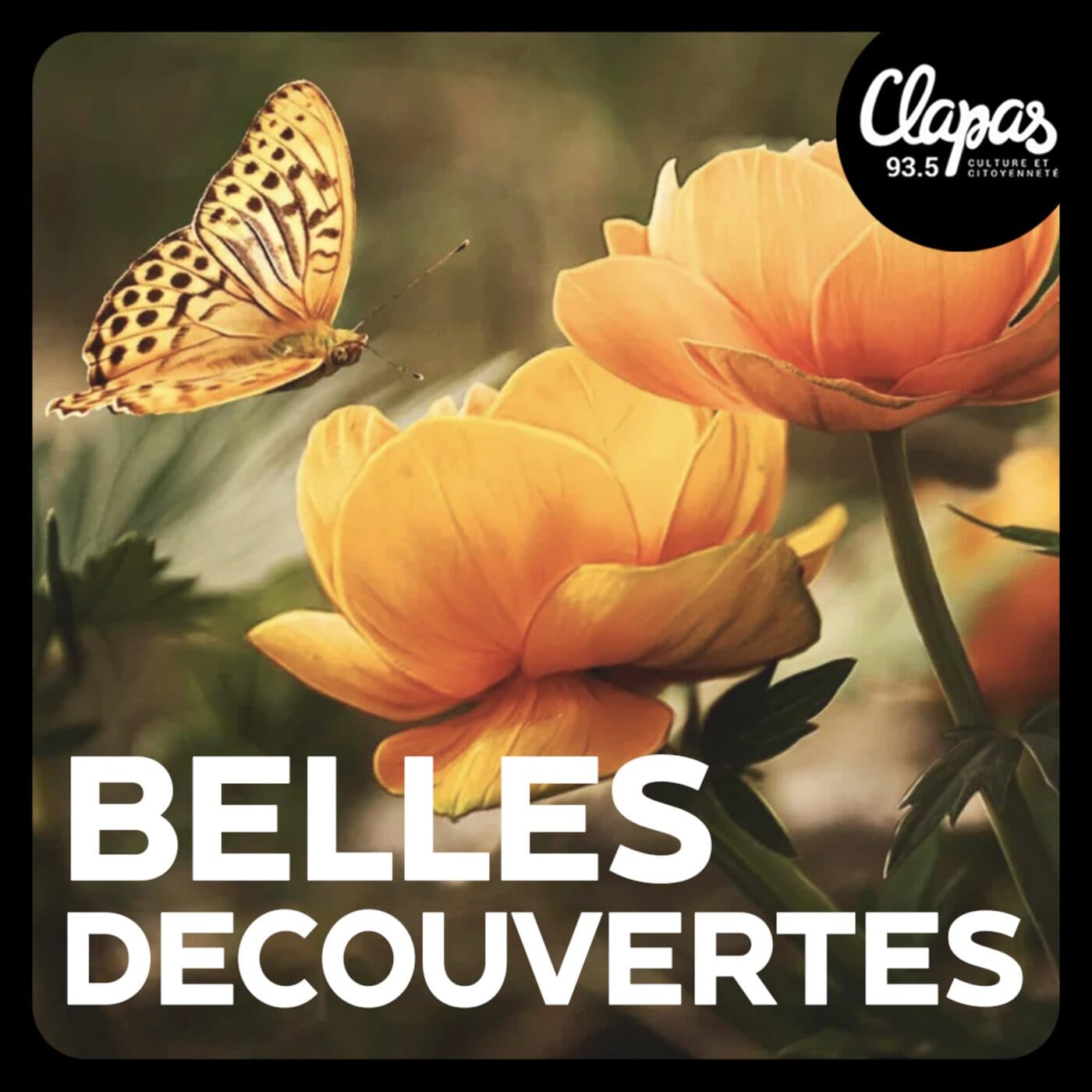 Belles Découvertes - Podcasts
