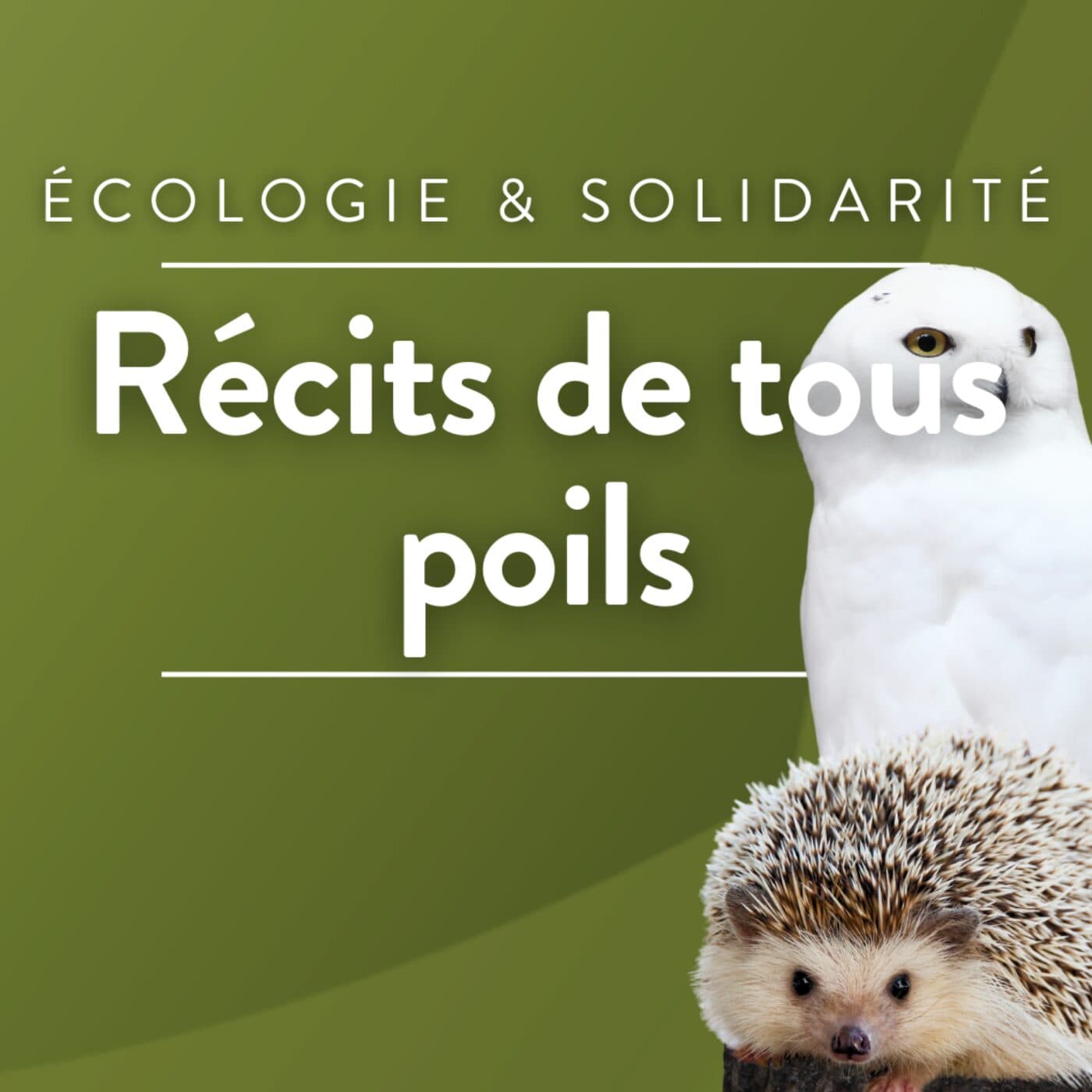 Récits de tous poils - Podcasts