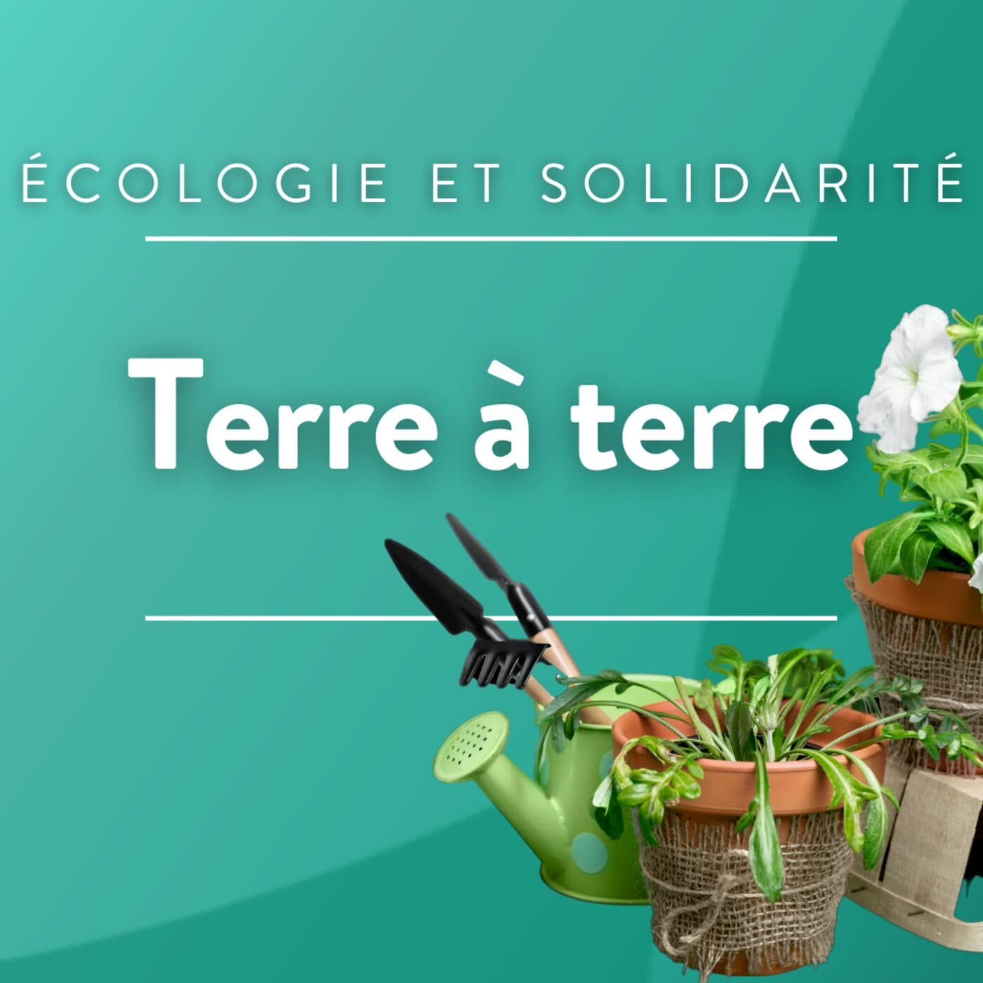 Terre à Terre : Rendez vous avec la transition écologique - Podcasts