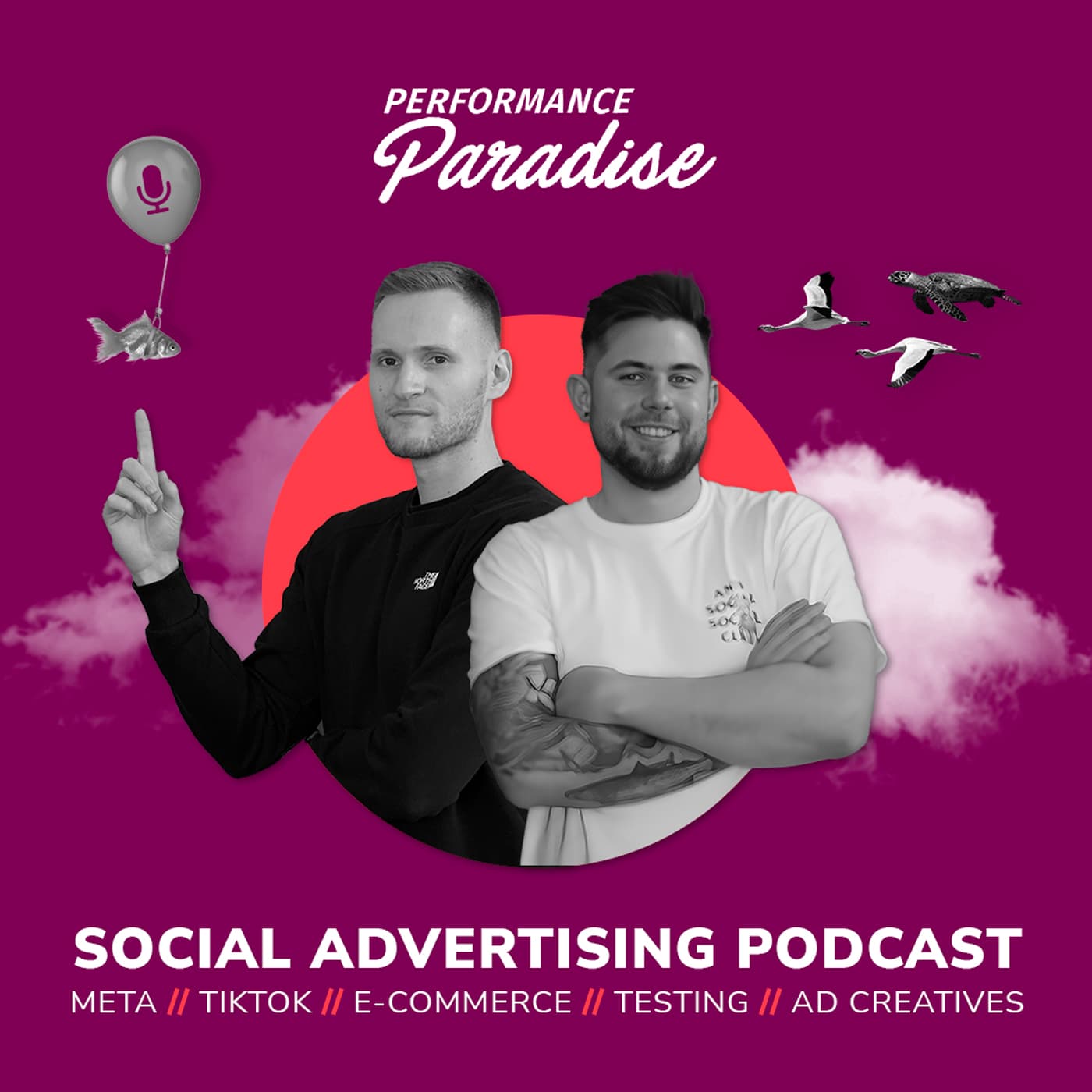 Performance Paradise - Social Media Advertising Podcast - Podcasts