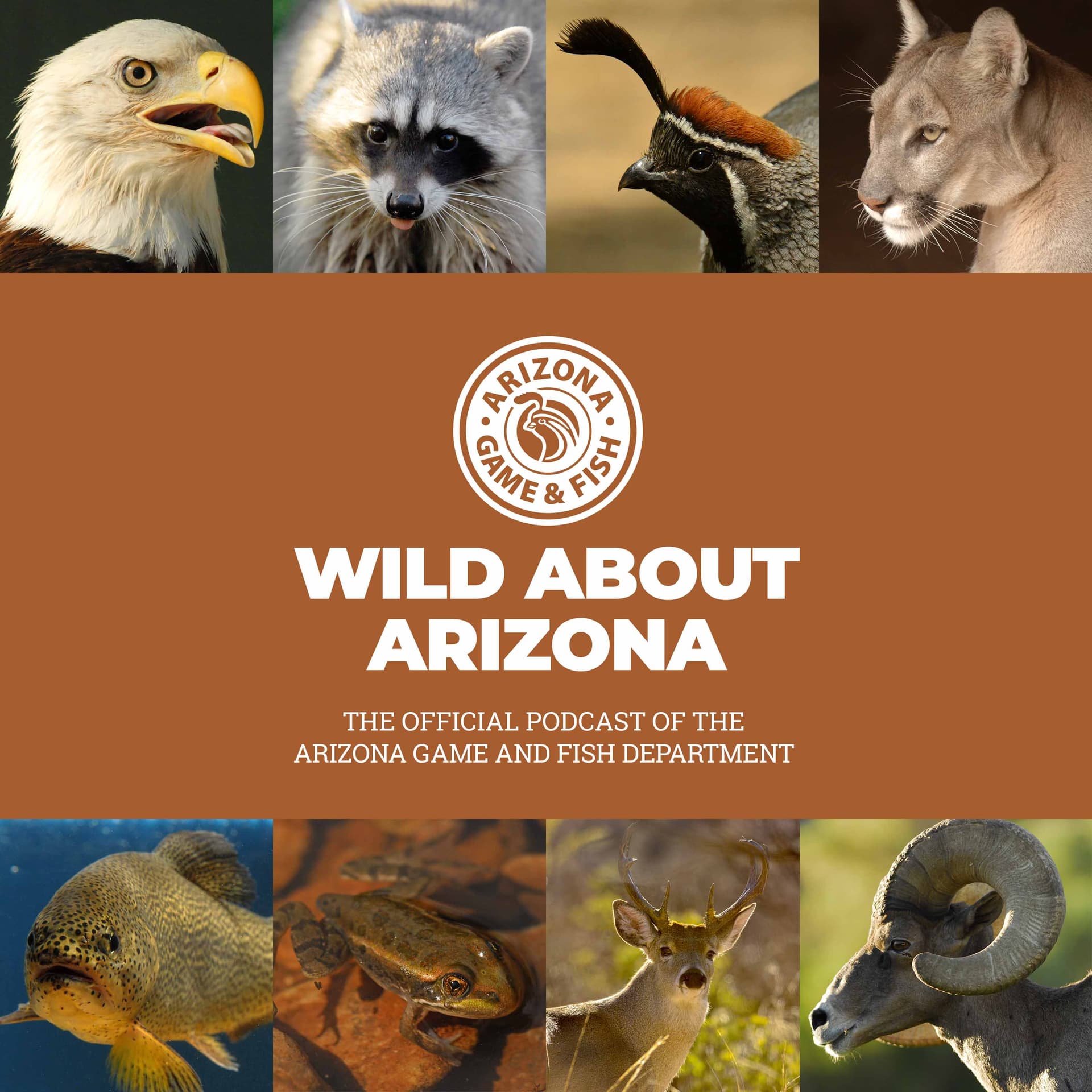 Wild About Arizona - Podcasts