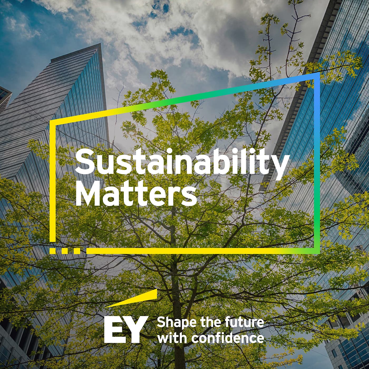 EY Sustainability Matters