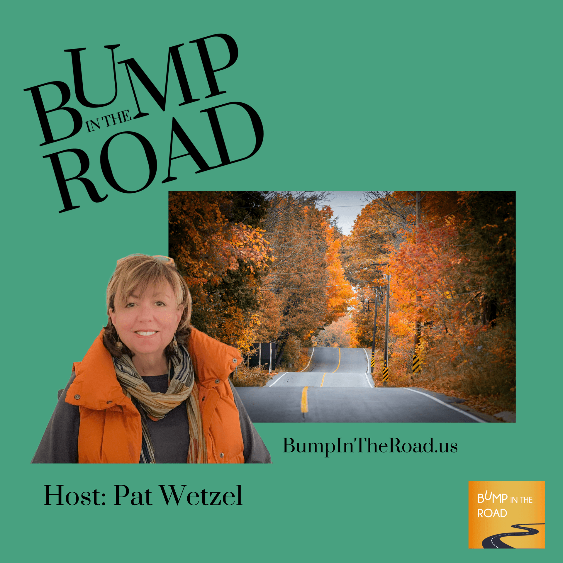 Bump In The Road - Podcasts