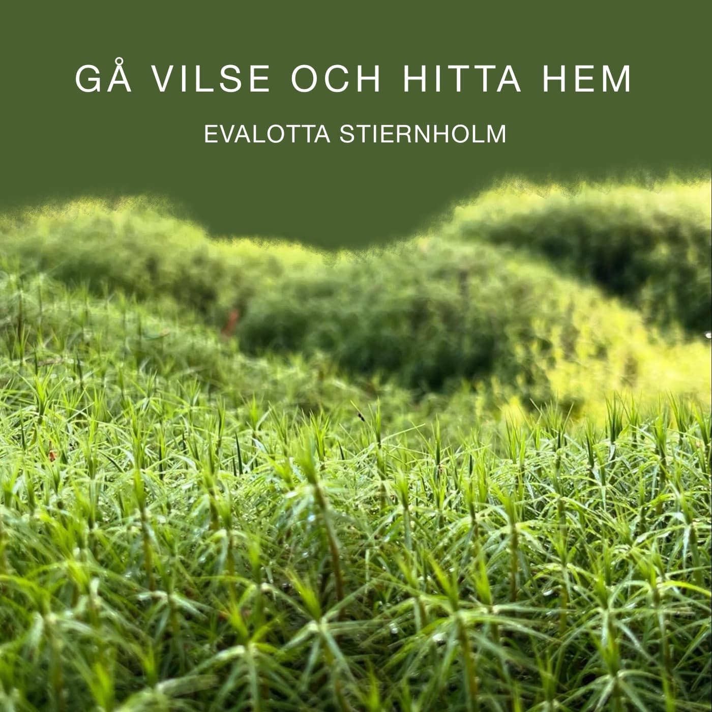 Gå vilse och hitta hem - Podcasts