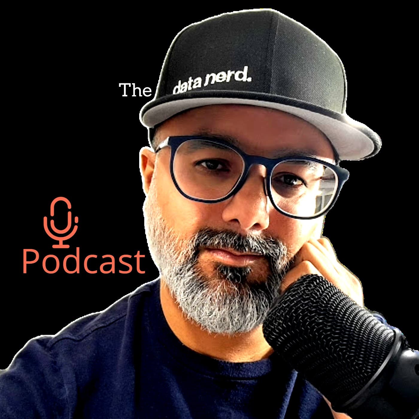 The Data Nerd Podcast - Podcasts