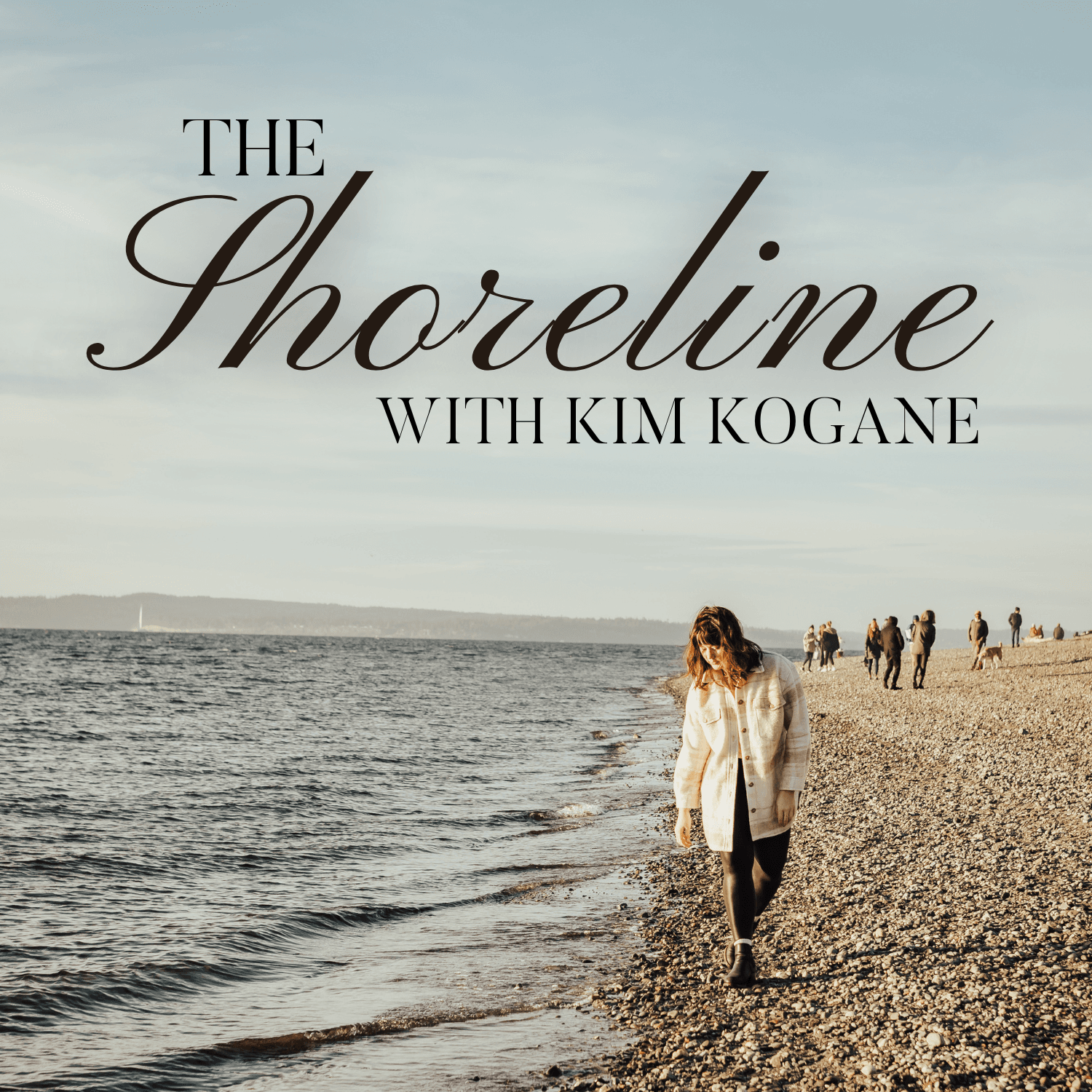 The Shoreline - 播客