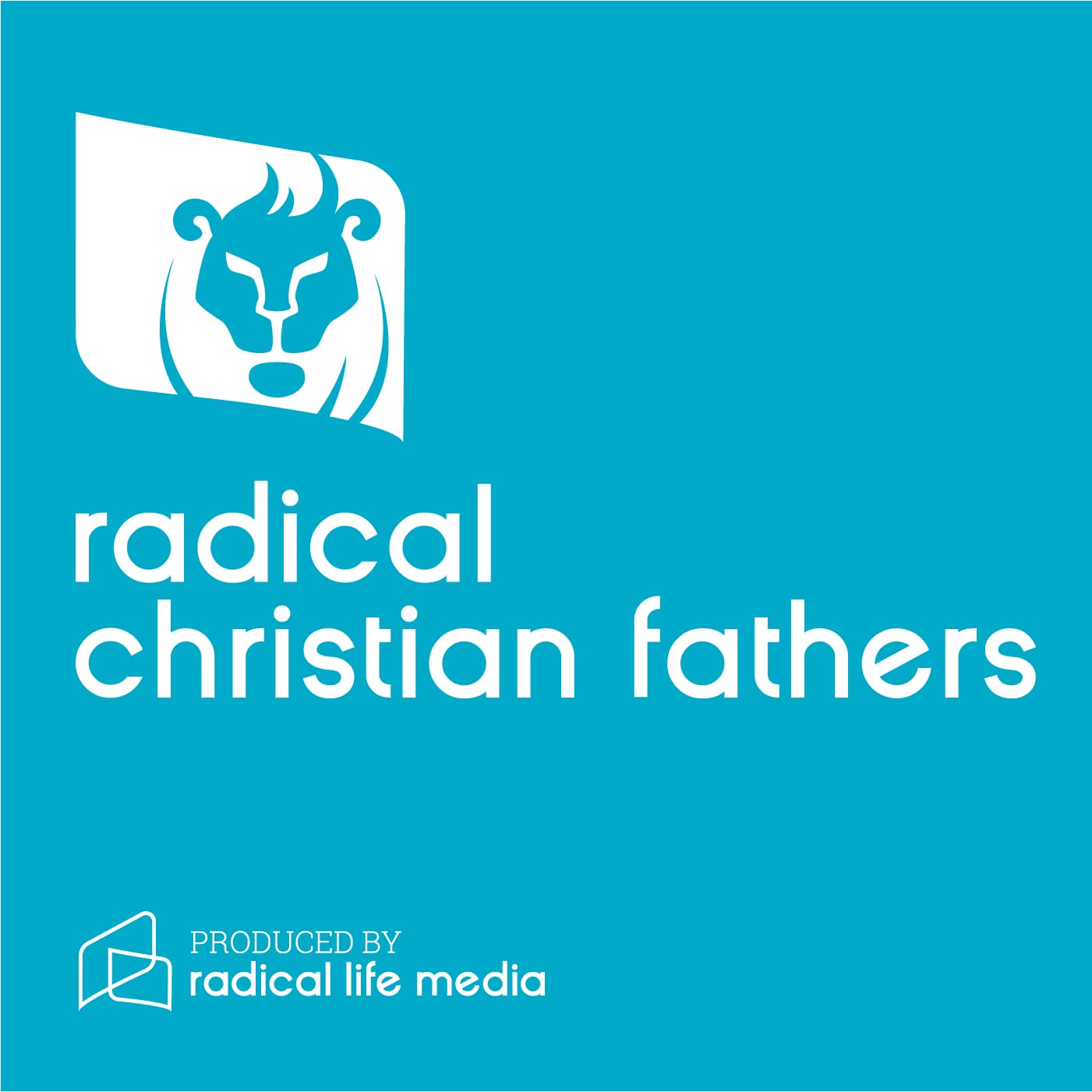 Encouraging Christian Fathers: Parenting Advice for Men With Vision - Podcasts