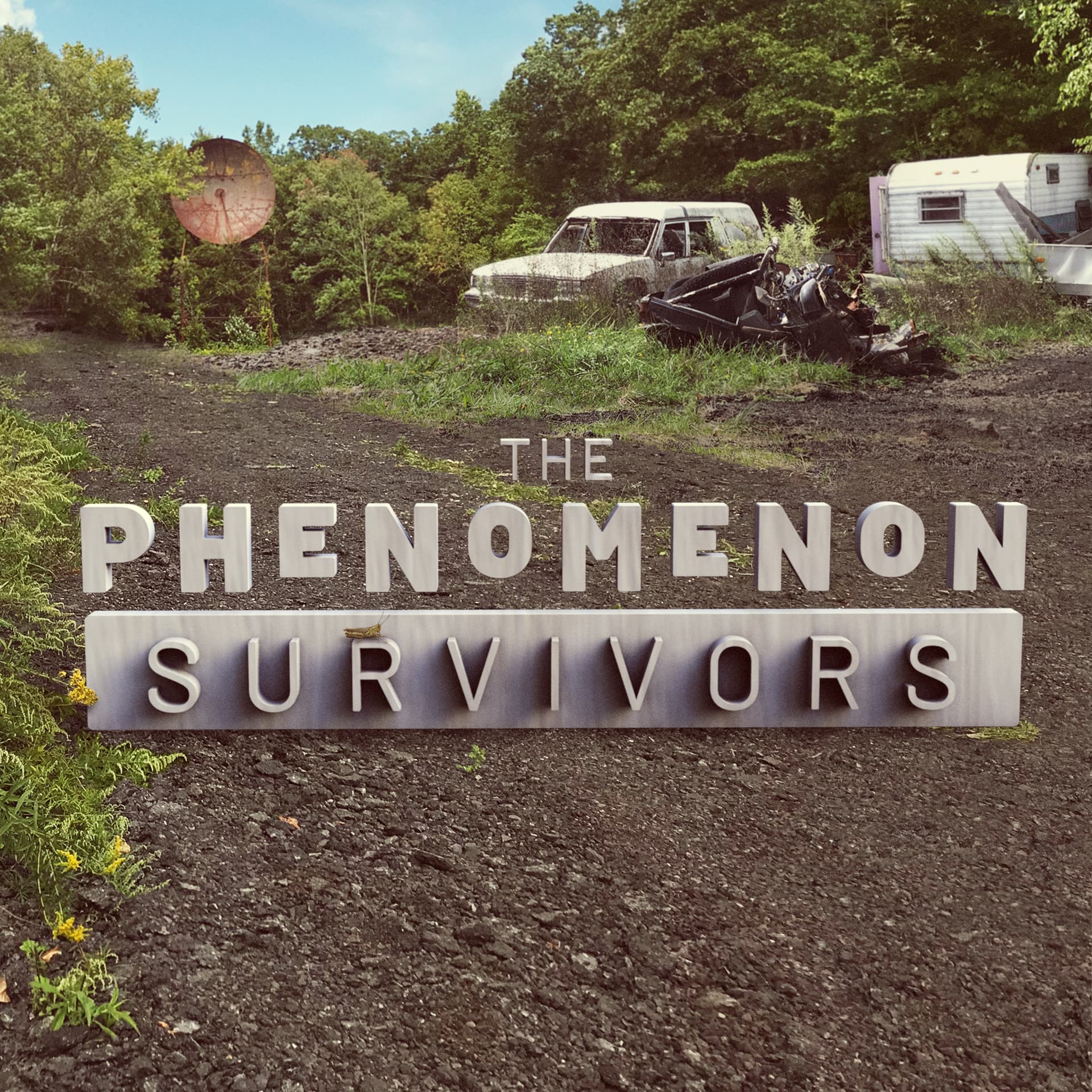 The Phenomenon - Podcasts