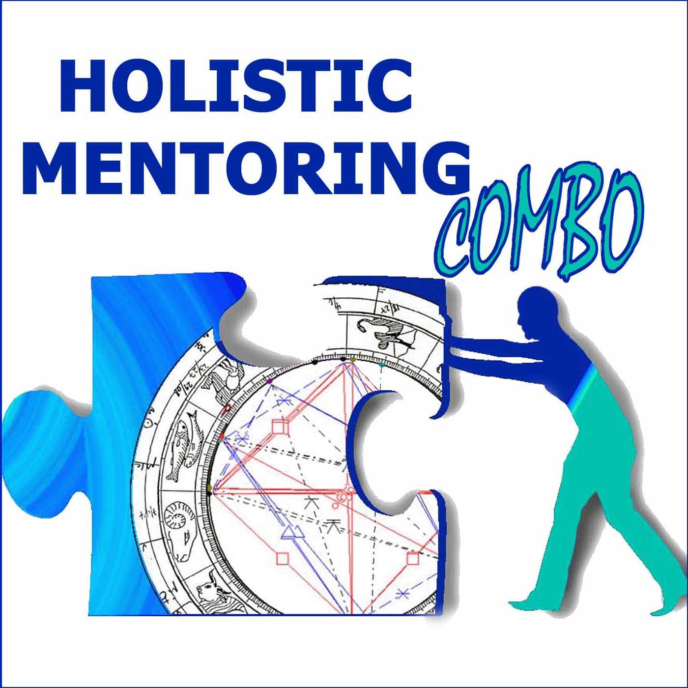 Holistic Mentoring Combo: Transformational Stories Highlighting the Engineering of Joyful Lives and Successful Careers - بودكاست