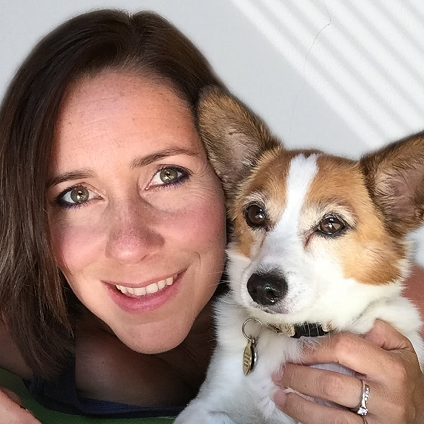 The WildPaw Dog Podcast with Karen Wild, CCAB - Podcasts