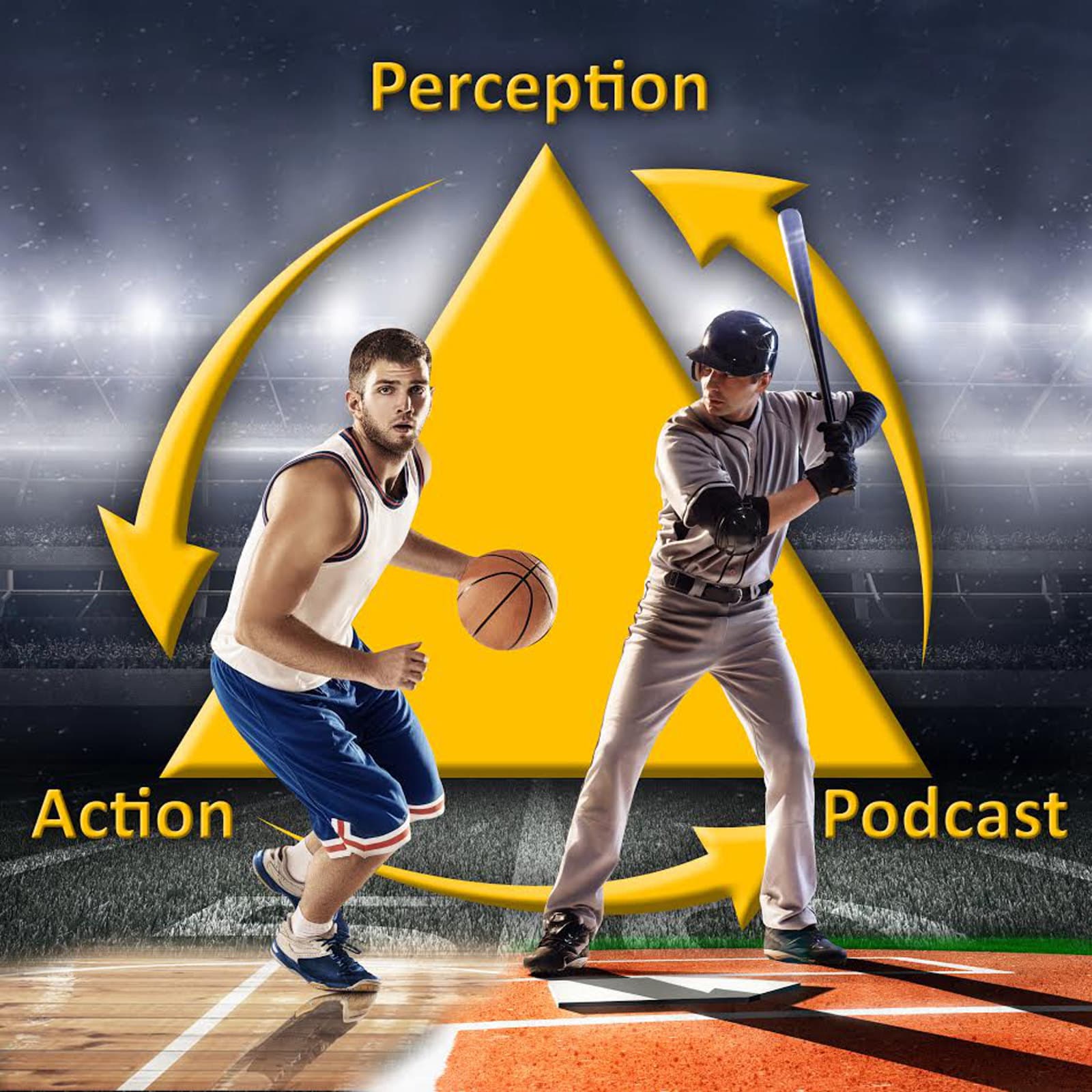 The Perception & Action Podcast - Podcasts