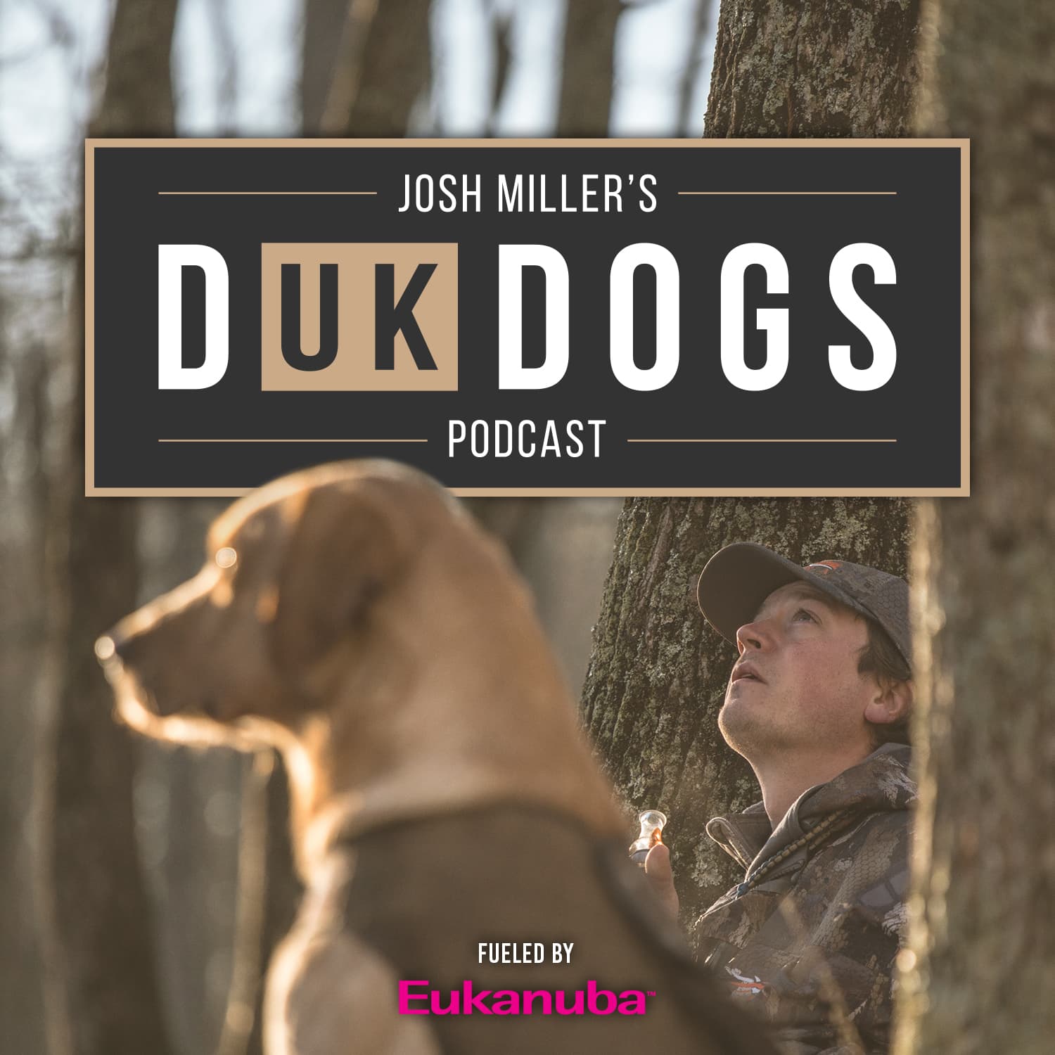 DUK Dogs - Podcasts