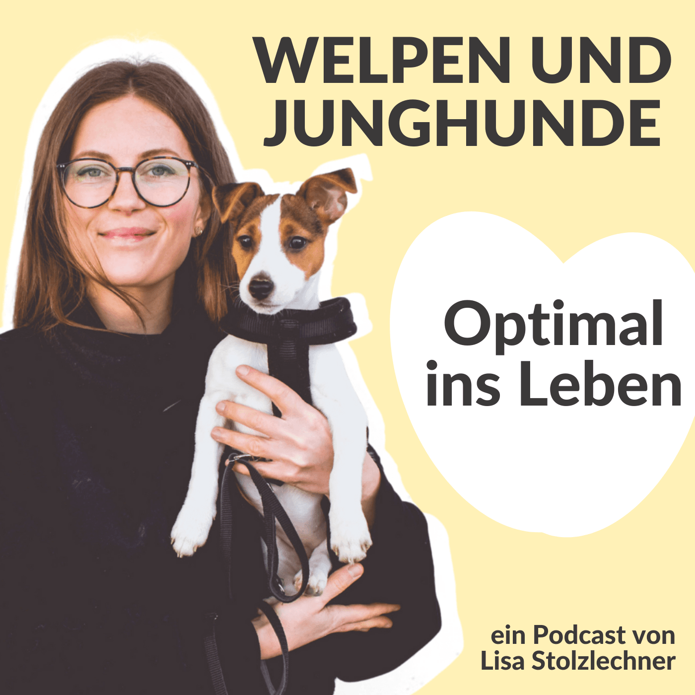 Optimal ins Leben! Welpen und Junghunde - Podcast