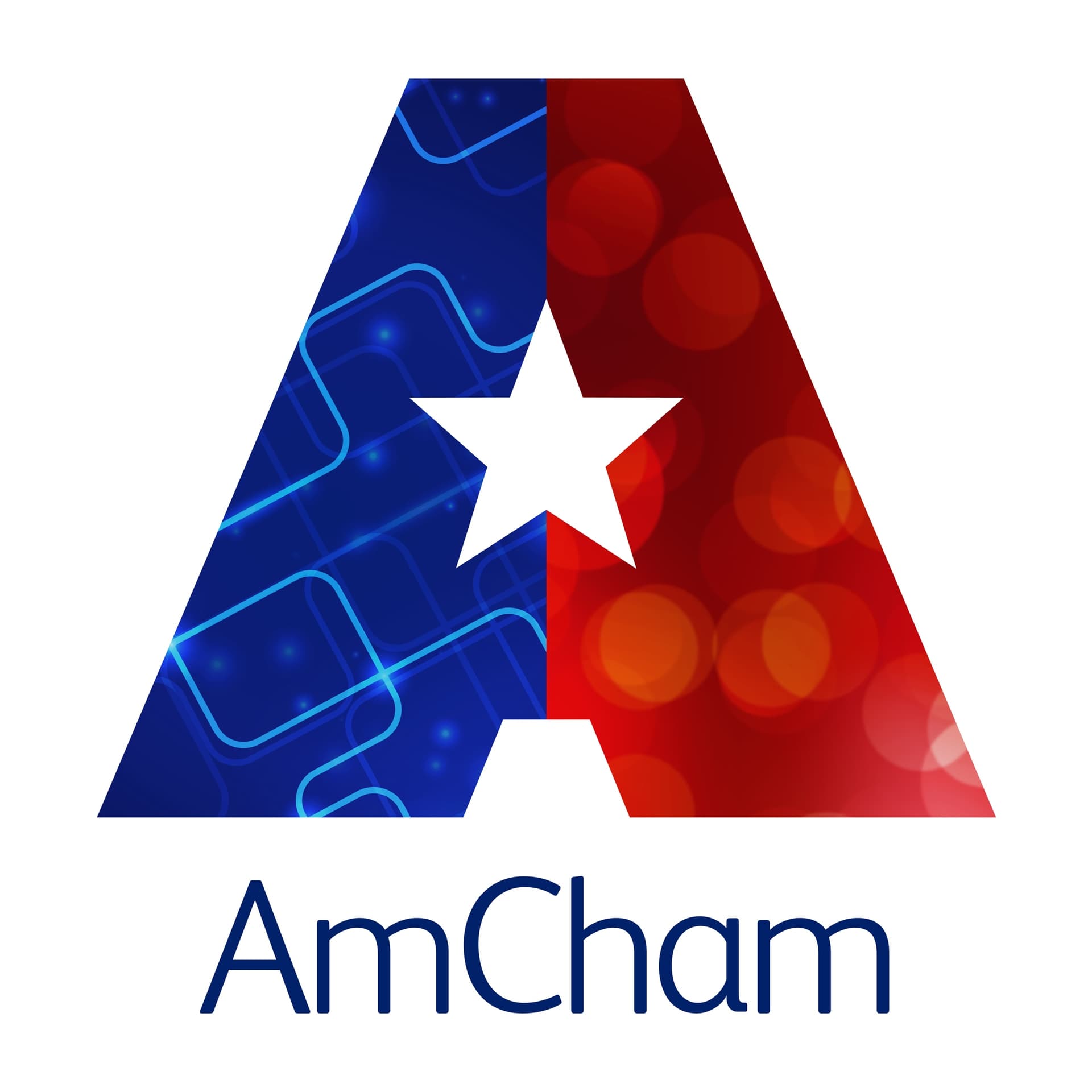 AmCham's 'How Business Really Works' Podcast - Podcasts