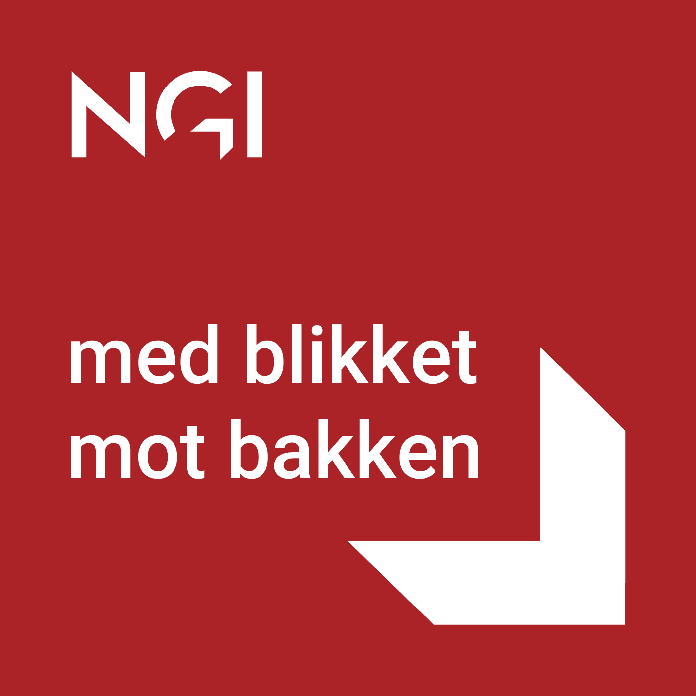 NGI - Med blikket mot bakken - Podcast