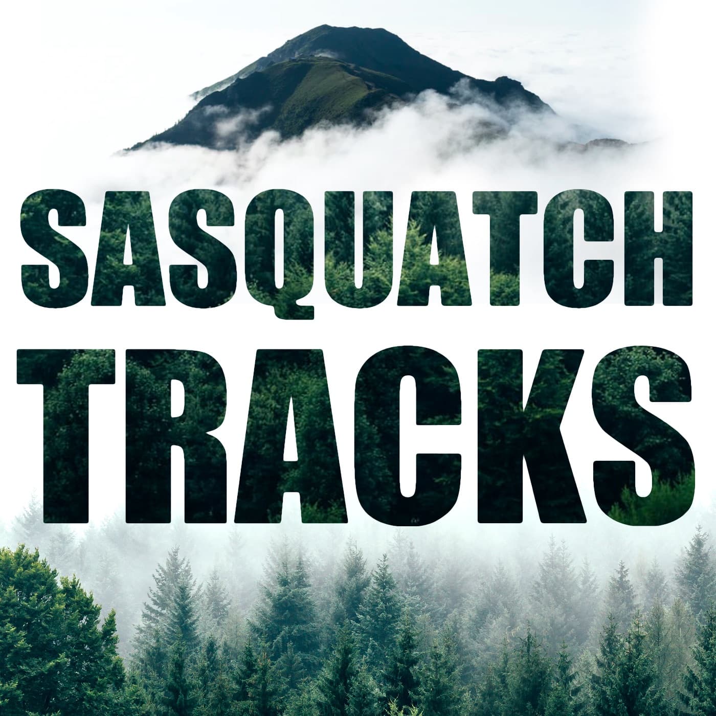 Sasquatch Tracks - Podcasts