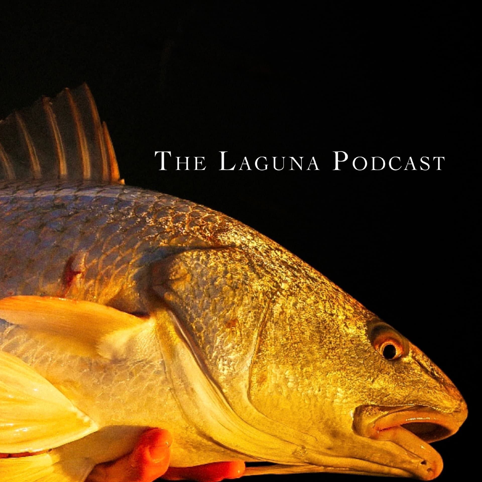 The Laguna Podcast - Podcasts