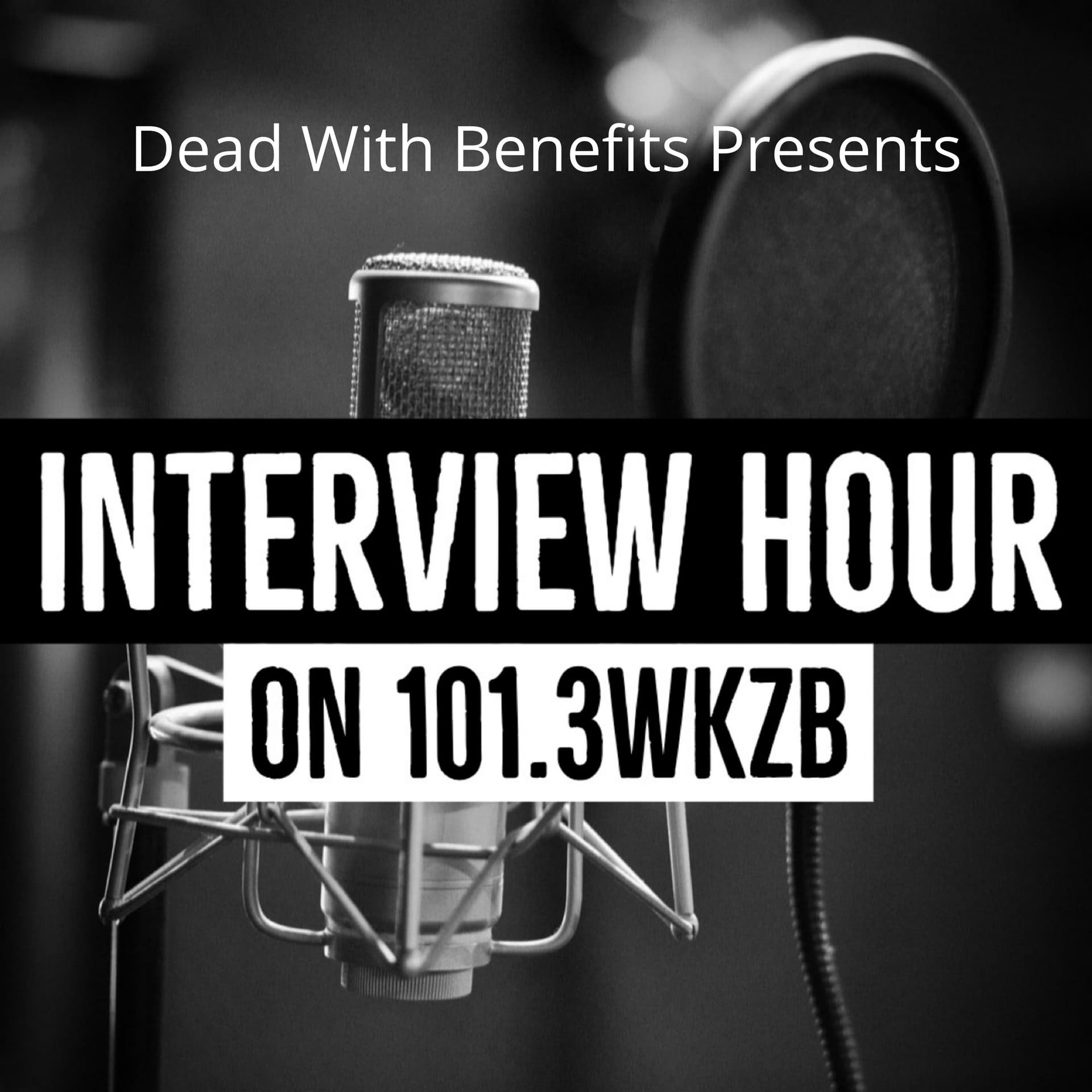 Interview Hour - Podcasts