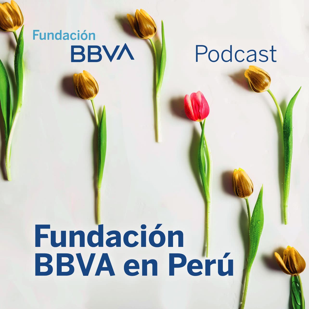 Fundación BBVA Perú - Podcasts