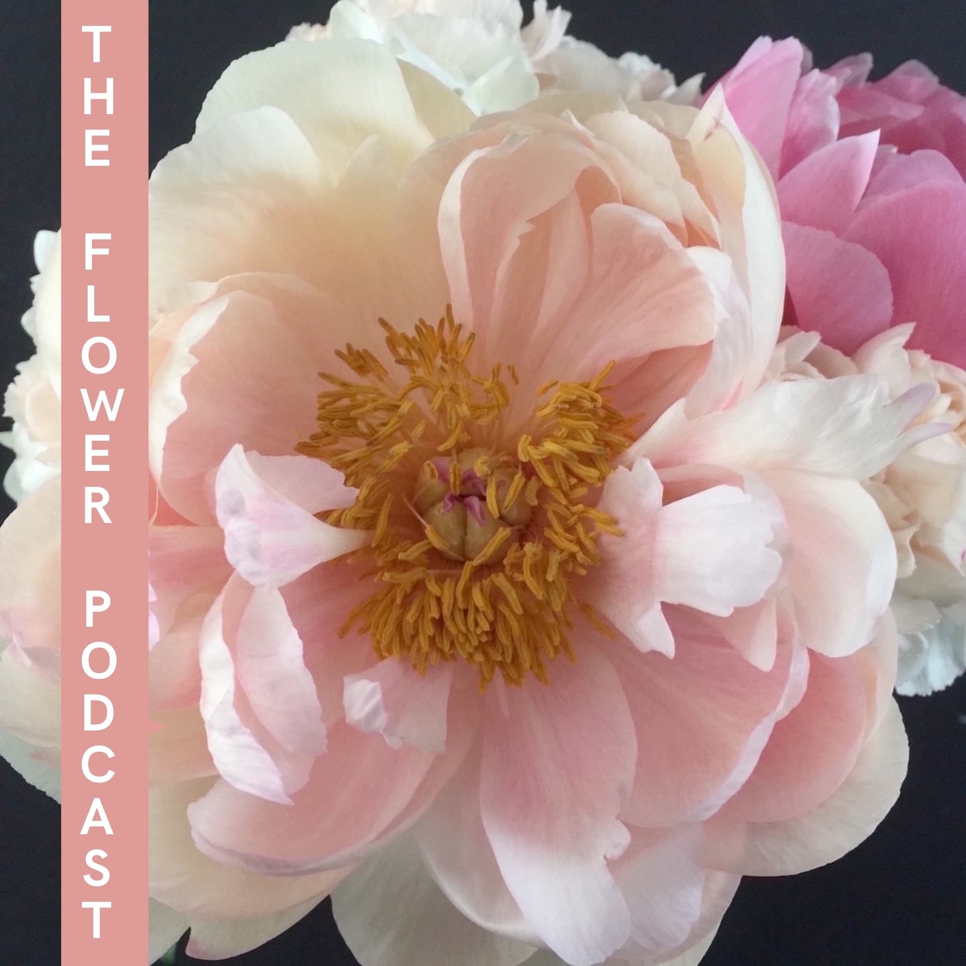 The Flower Podcast - Podcasts