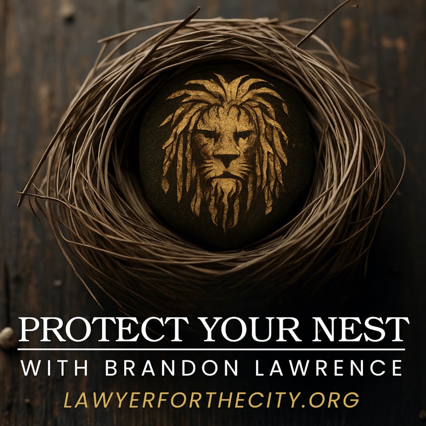 Protect Your Nest - Podcasts