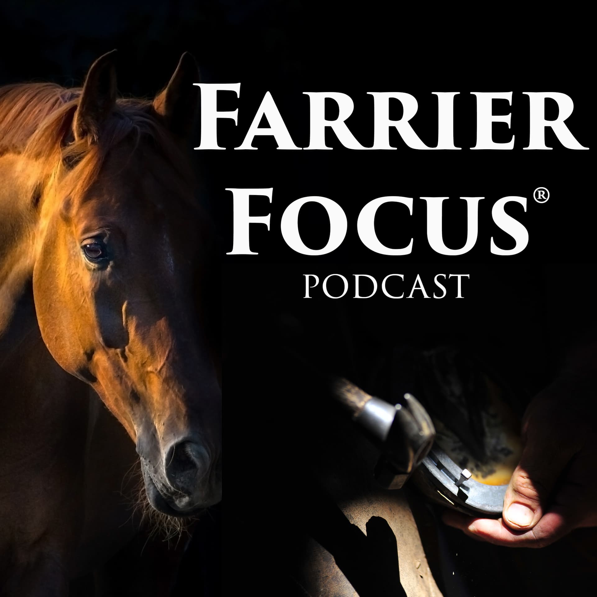 Farrier Focus Podcast - Podcasts