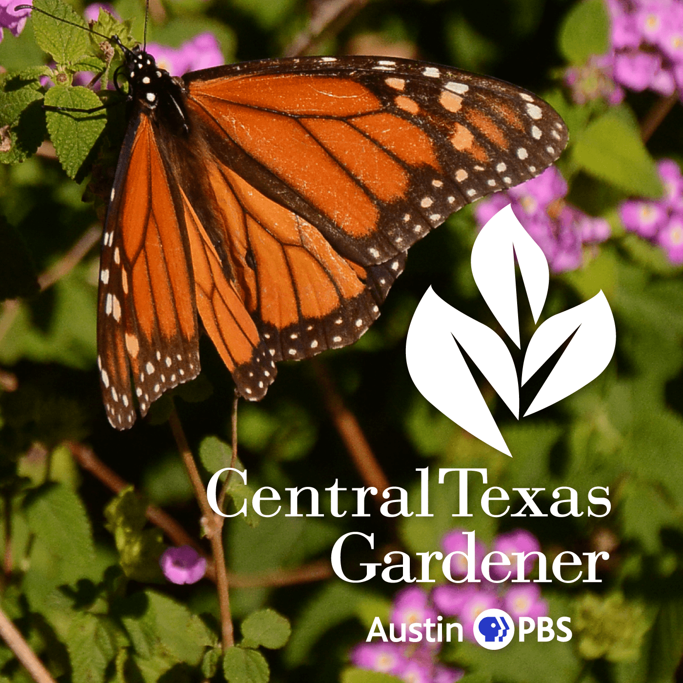 Central Texas Gardener - Podcasts