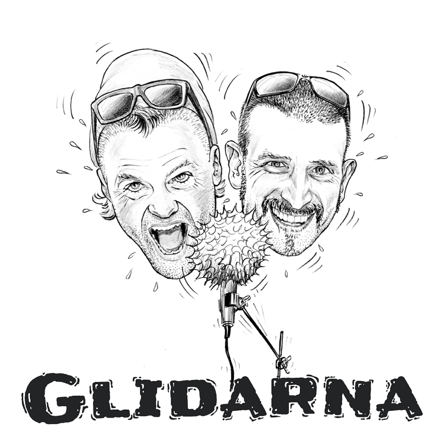 Glidarna