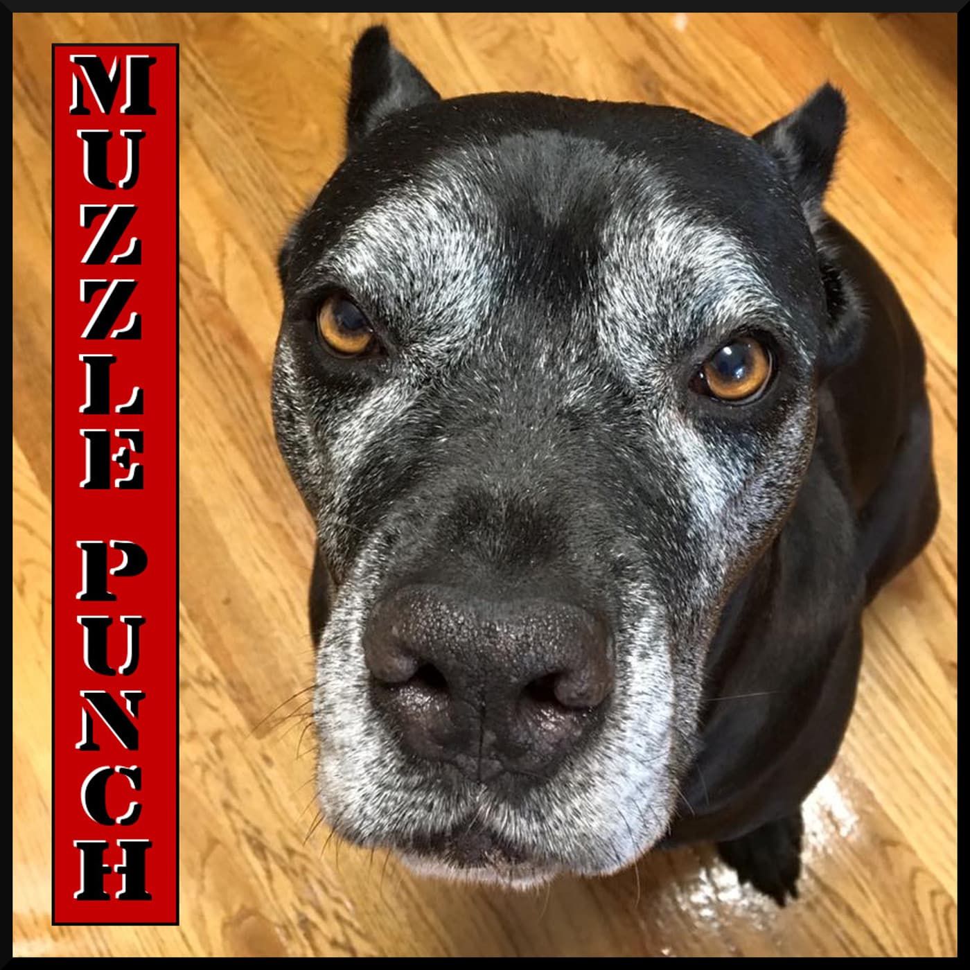 Muzzle Punch - Podcasts