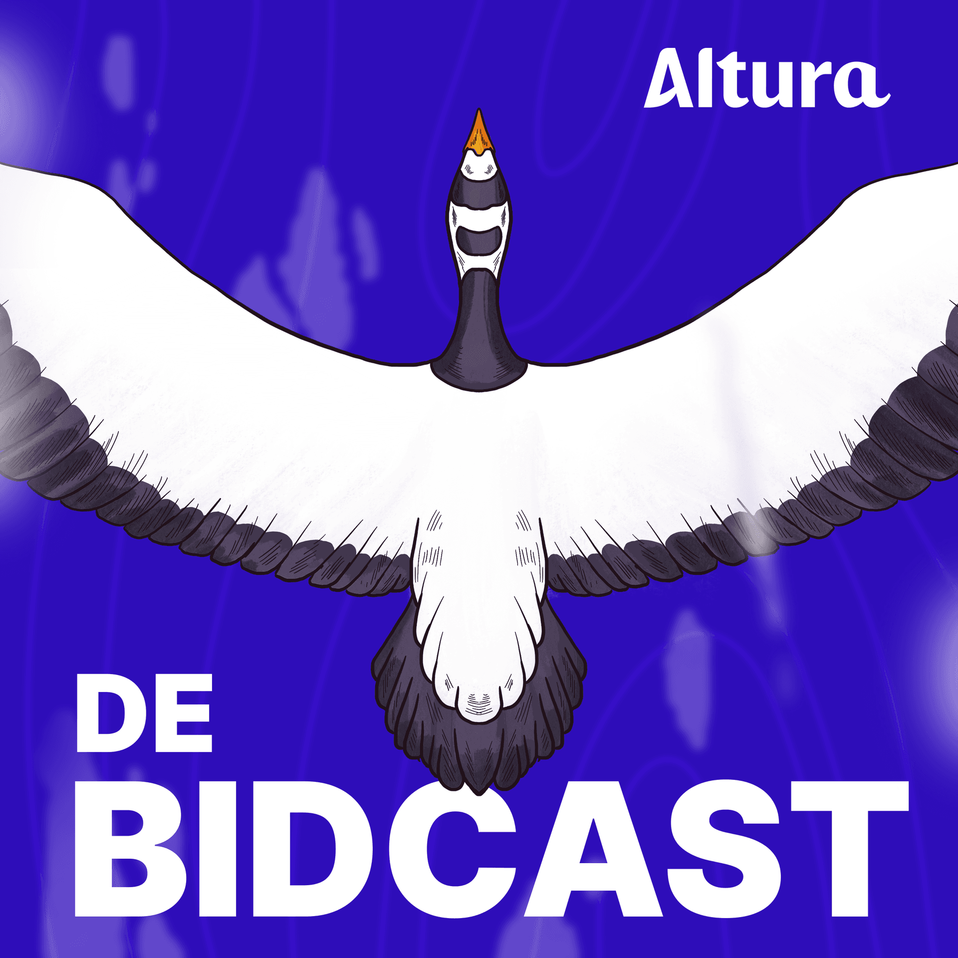 De Bidcast - Podcasts