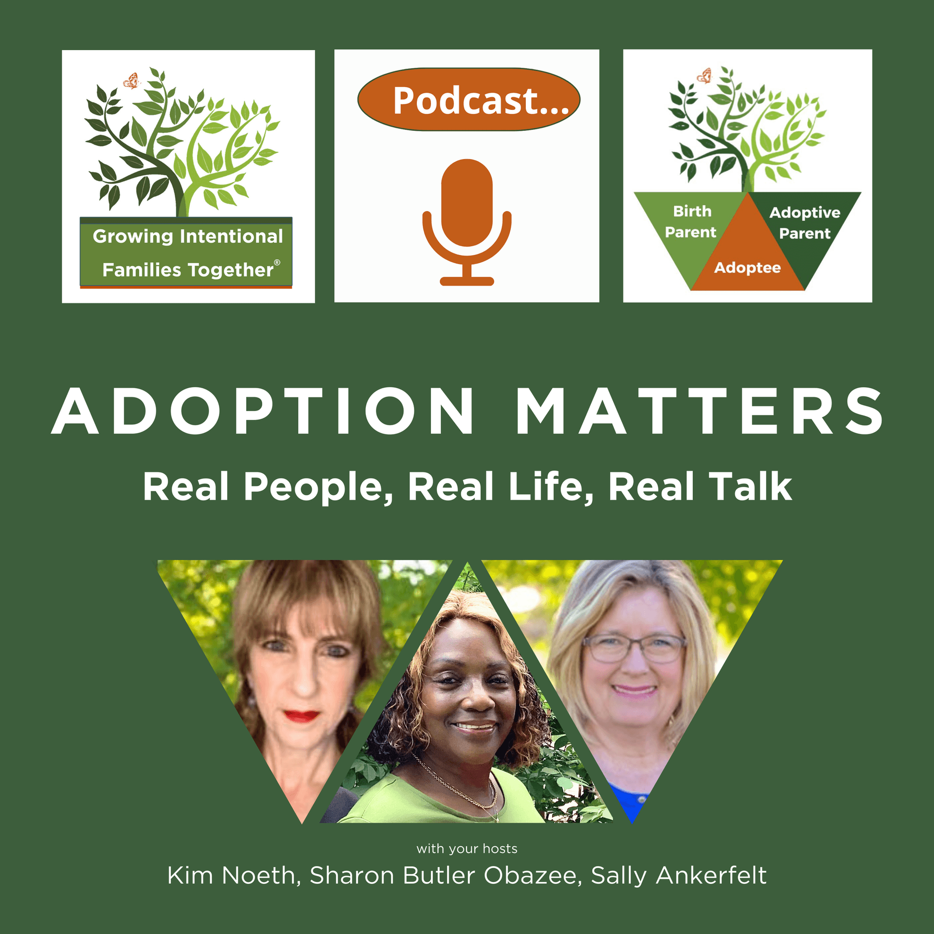 ADOPTION MATTERS: Real People, Real Life, Real Talk - Podcasts