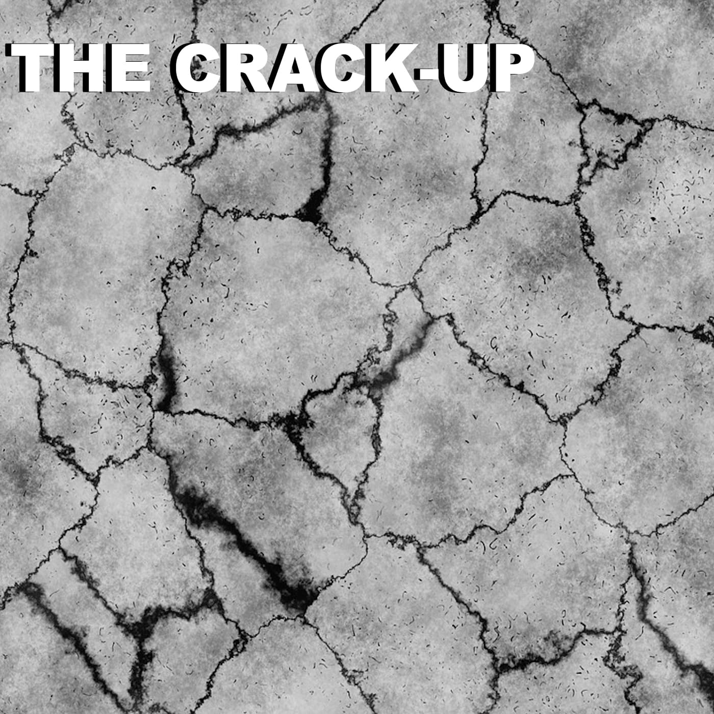 1919: The Year of the Crack-Up - Podcasts