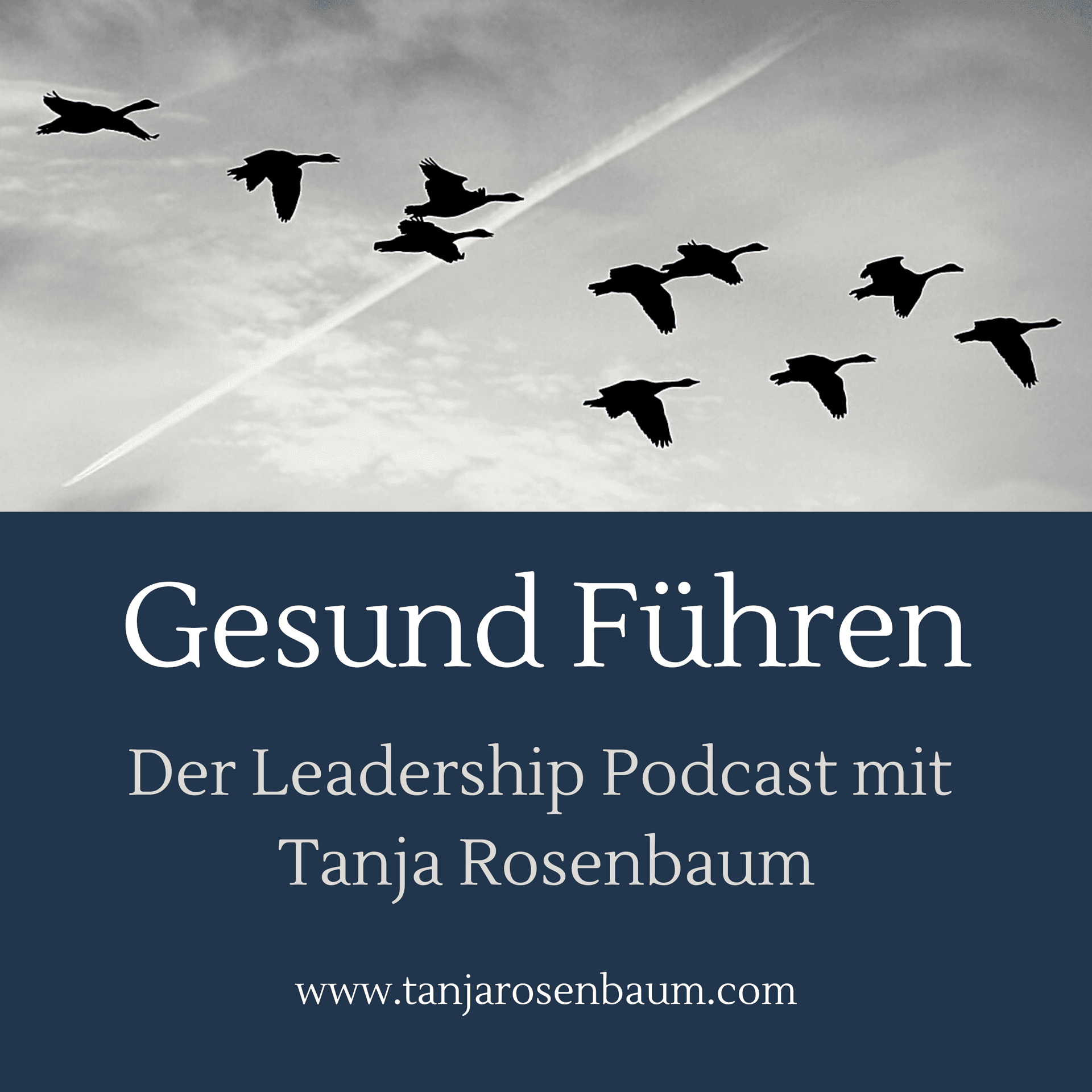 Gesund Führen - der Leadership Podcast - Podcasts