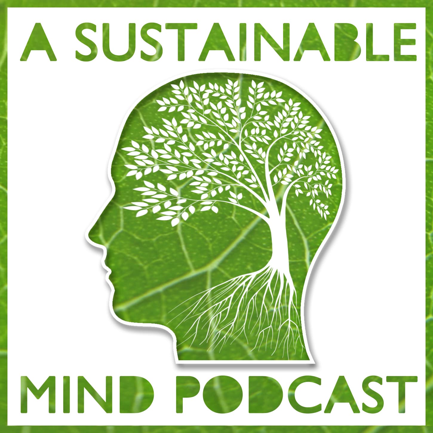 A Sustainable Mind - environment & sustainability podcast - Podcasts