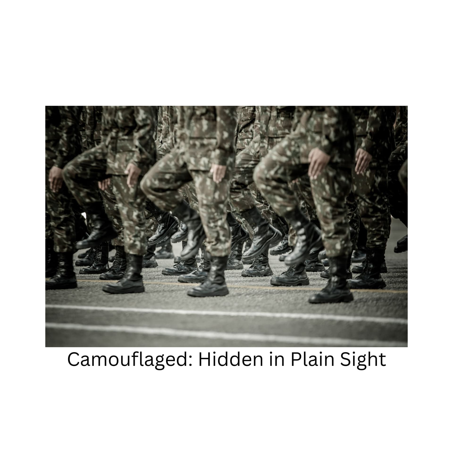 Camouflaged: Hidden in Plain Sight