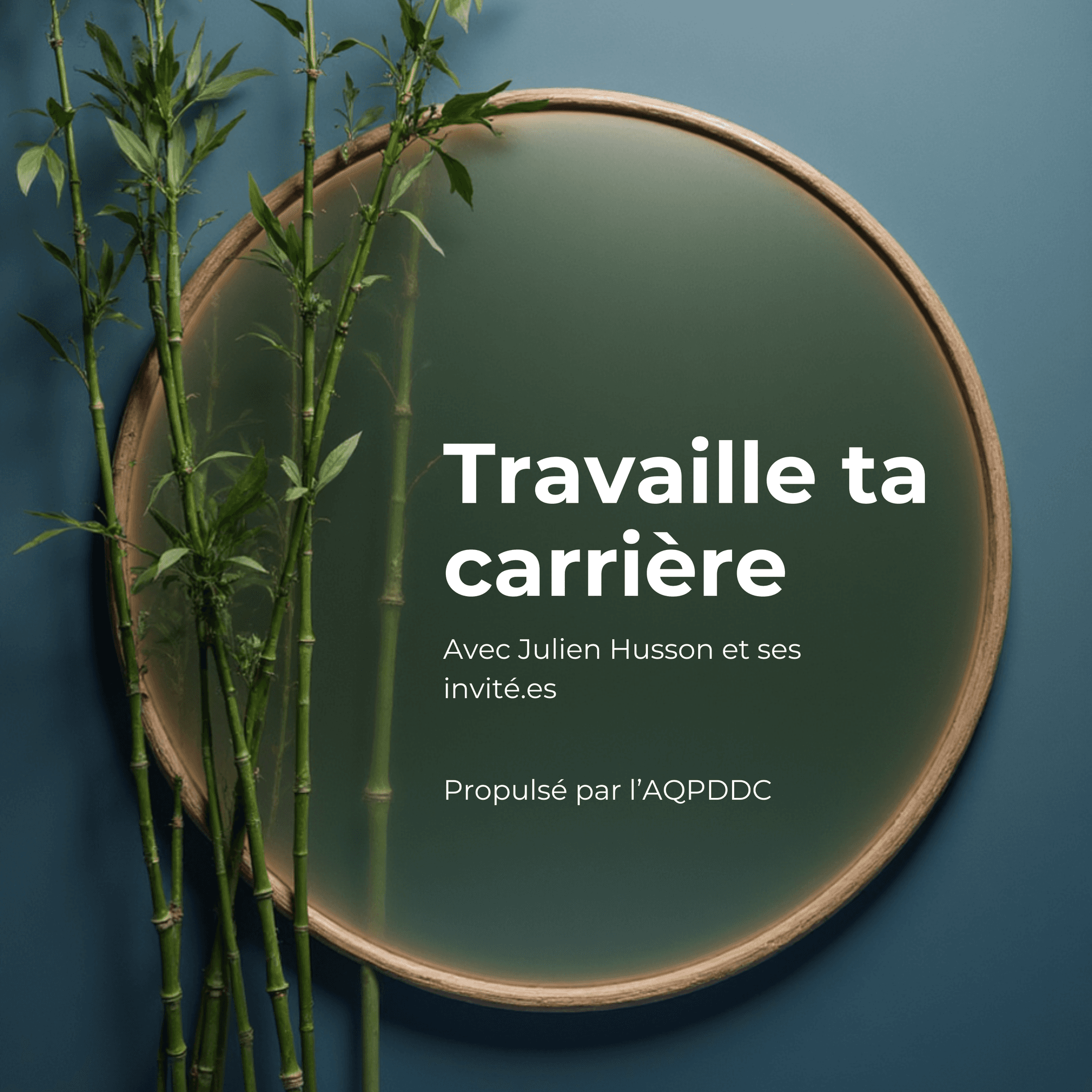 Travaille ta carrière - Podcasts