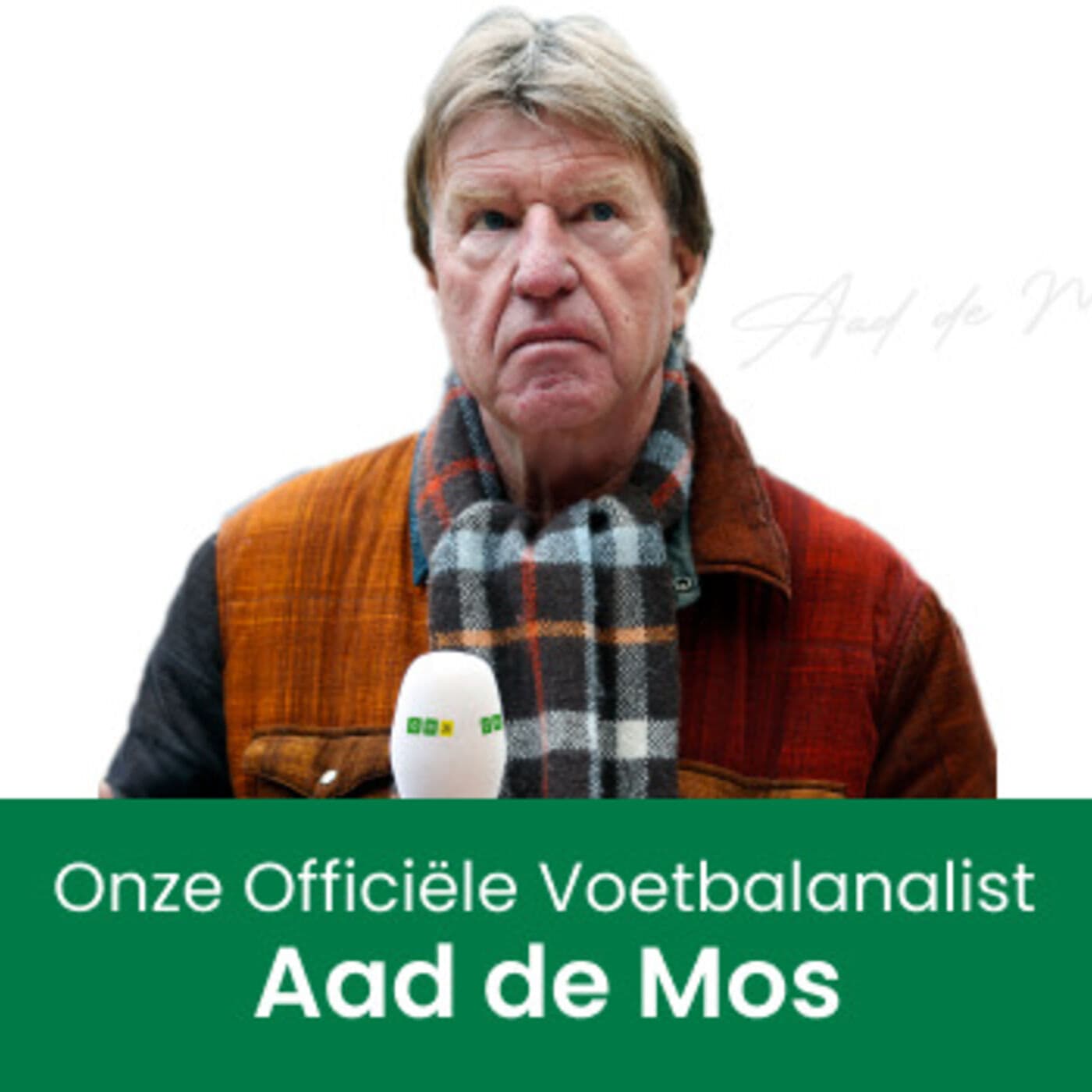 Twee Viertje met Aad de Mos podcast - Podcasts