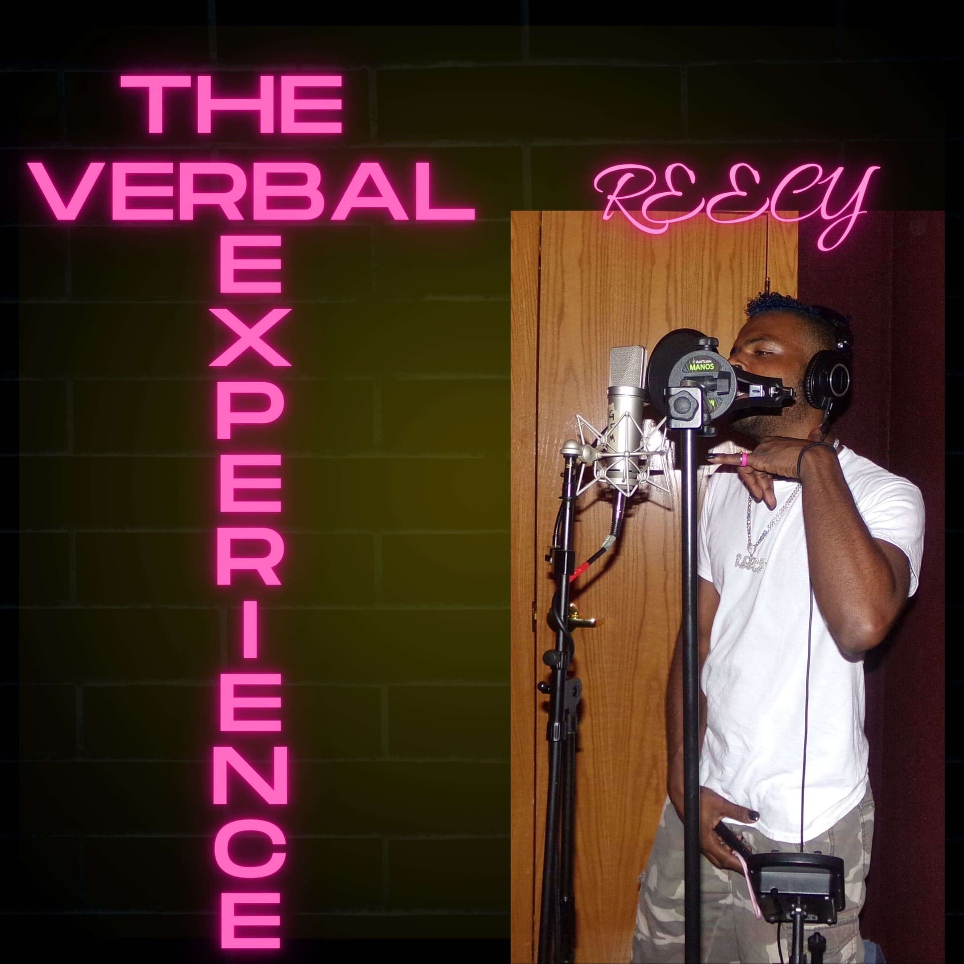 The Verbal Experience - Podcasts