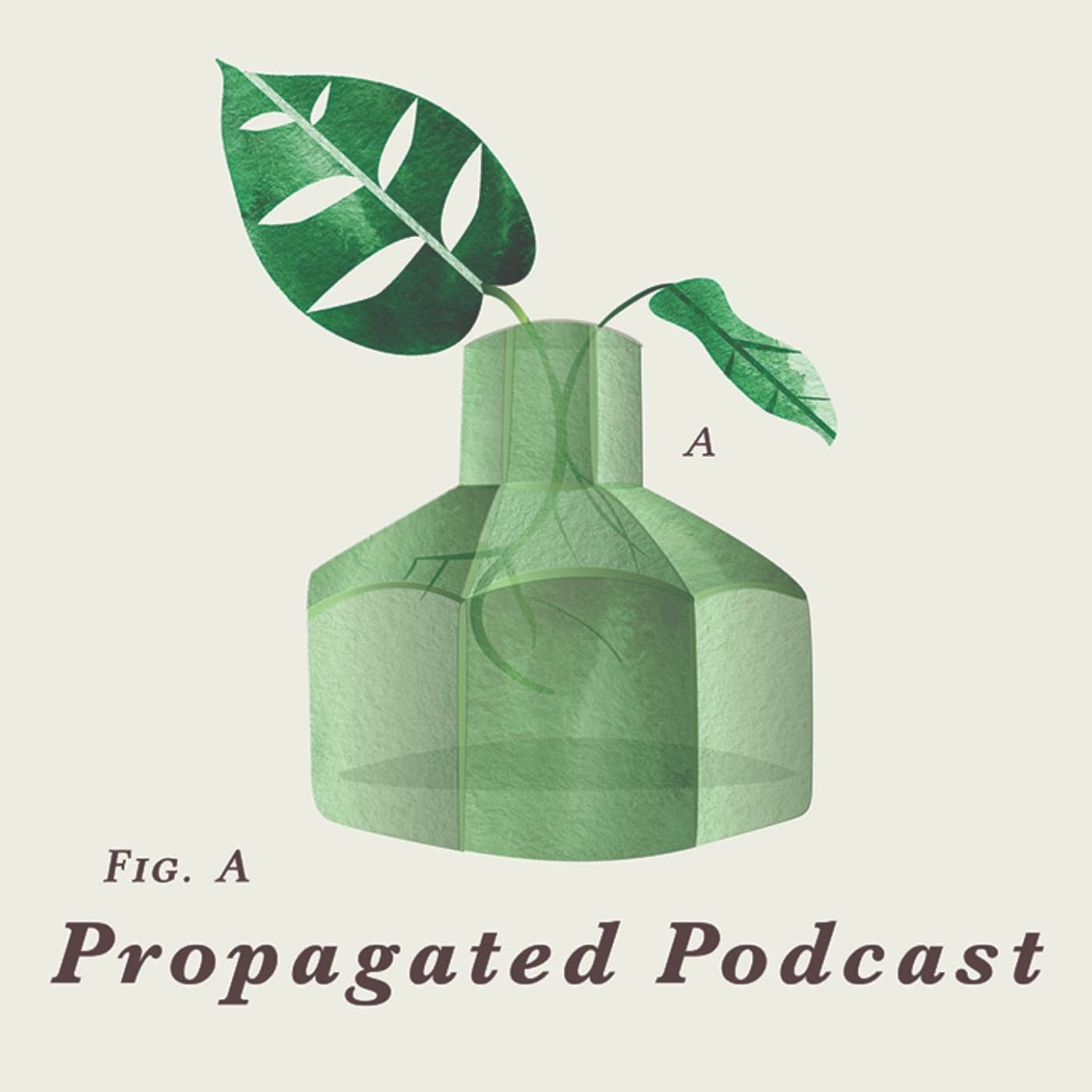 Propagated Podcast - Podcasts