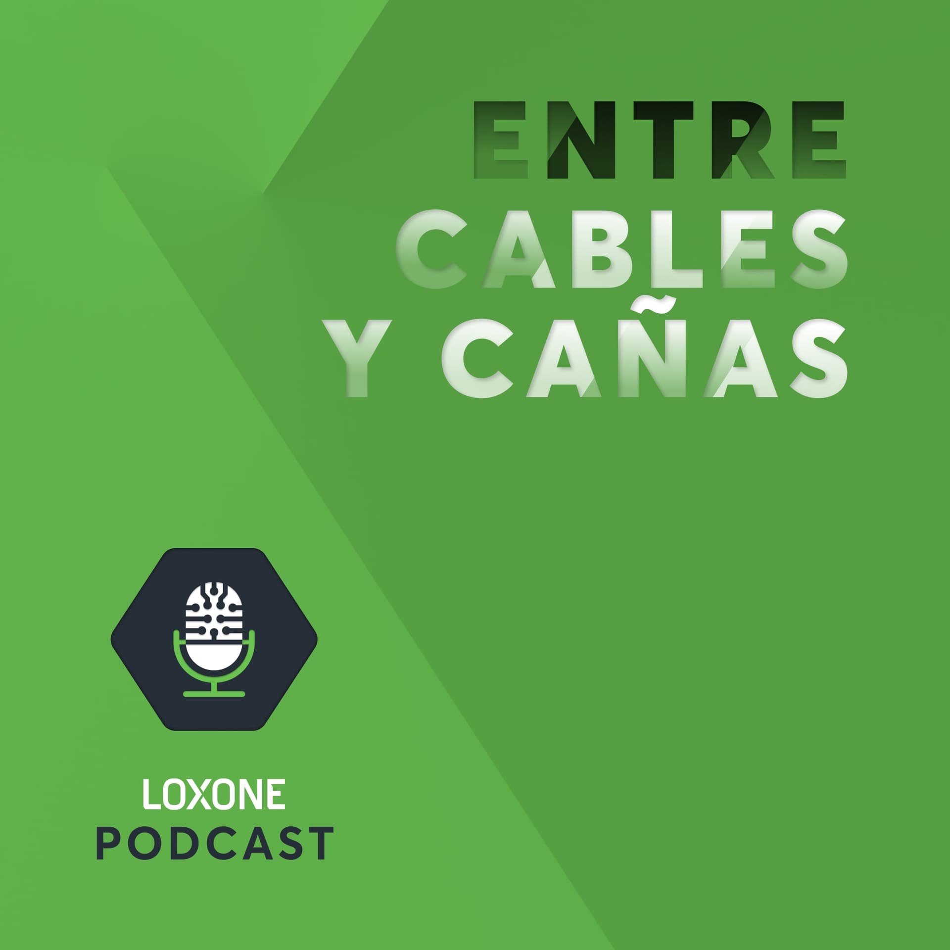 Entre cables y cañas - Podcast
