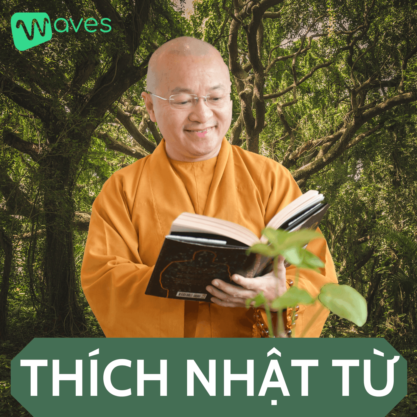 Thích Nhật Từ - Giải đáp về những vấn đề trong cuộc sống với Phật Giáo - WAVES - Podcasts
