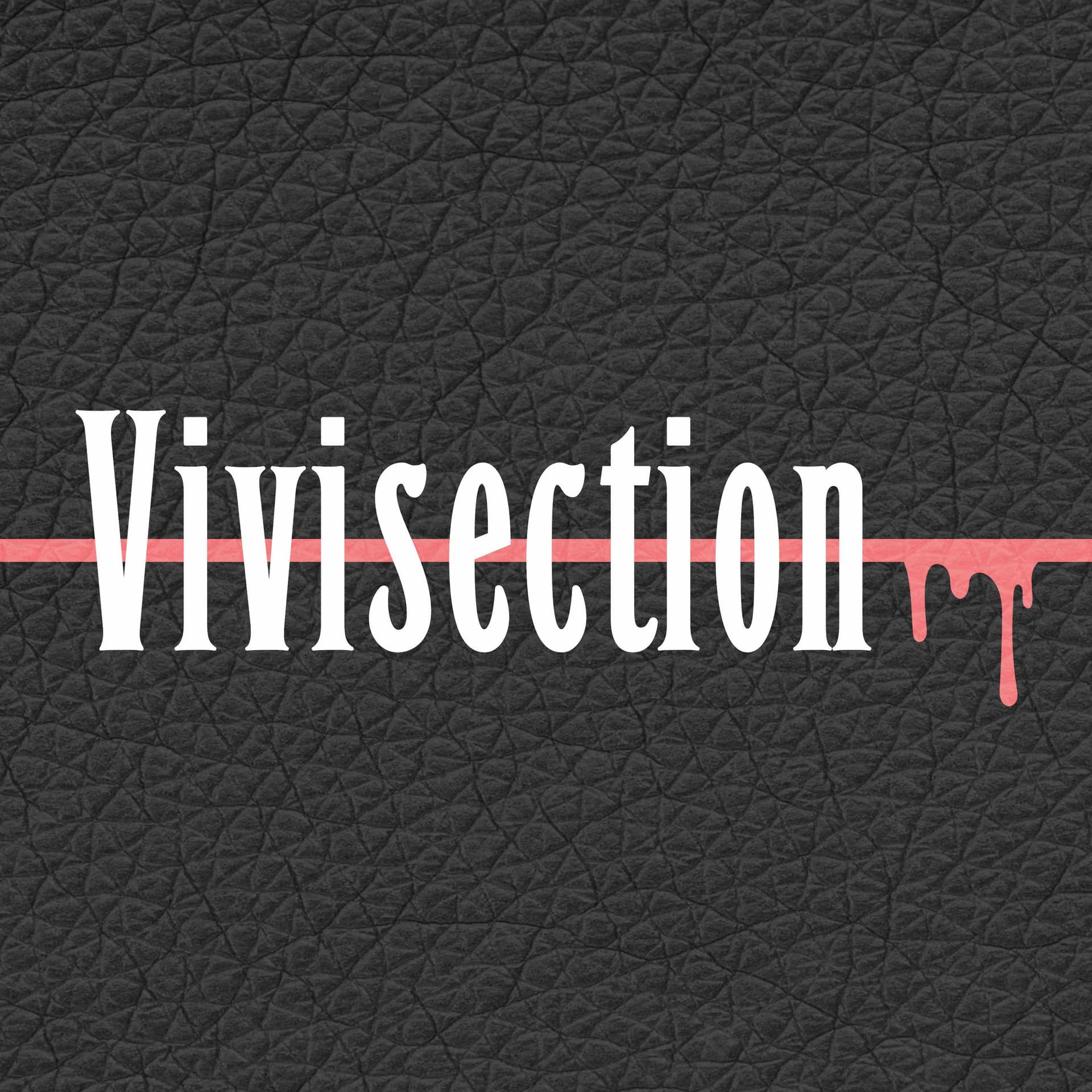 The MMA Vivisection Shows: 'Main Card Preview' & 'Prelims Card Preview' - Podcasts