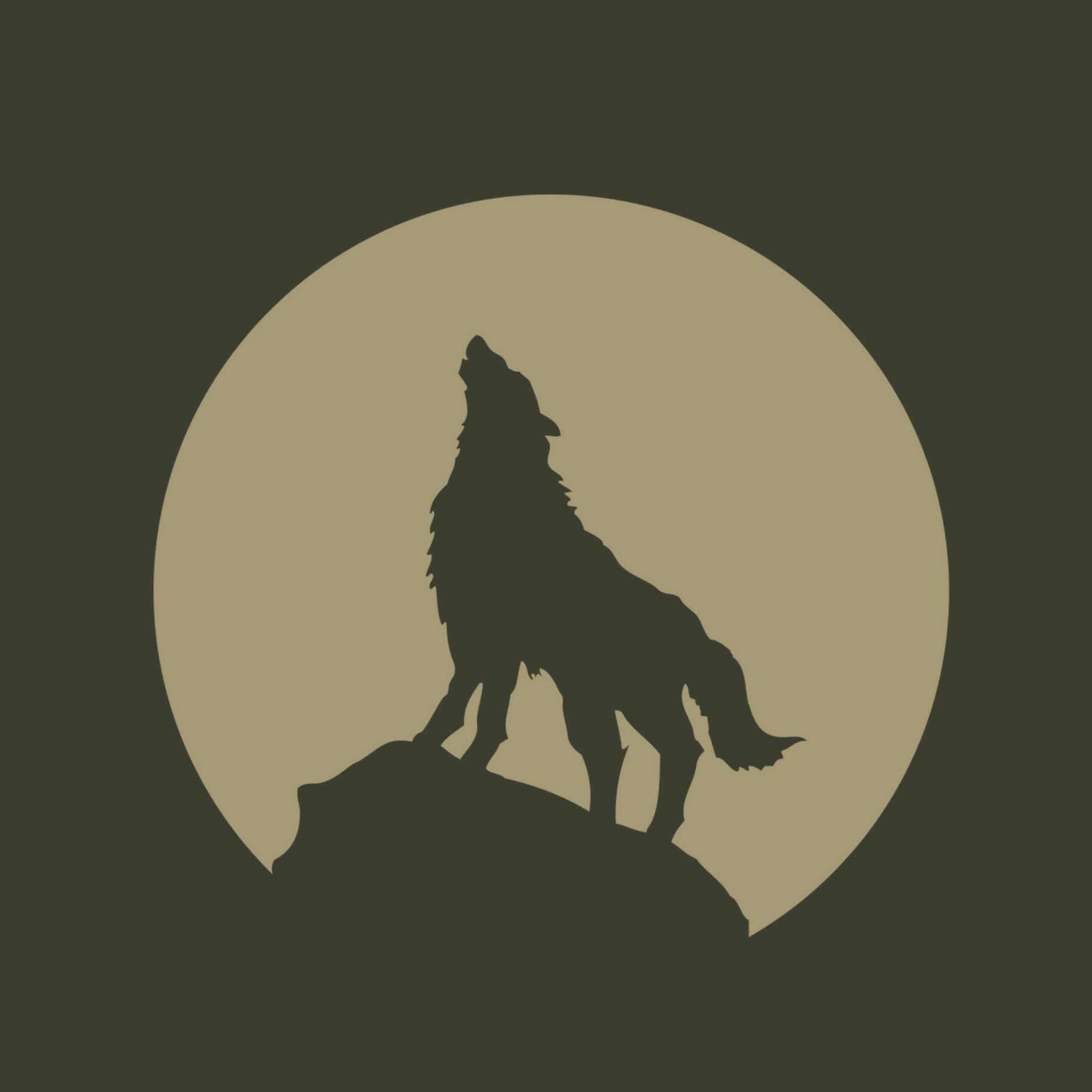 Enlightened Omnivore Podcast - Podcasts