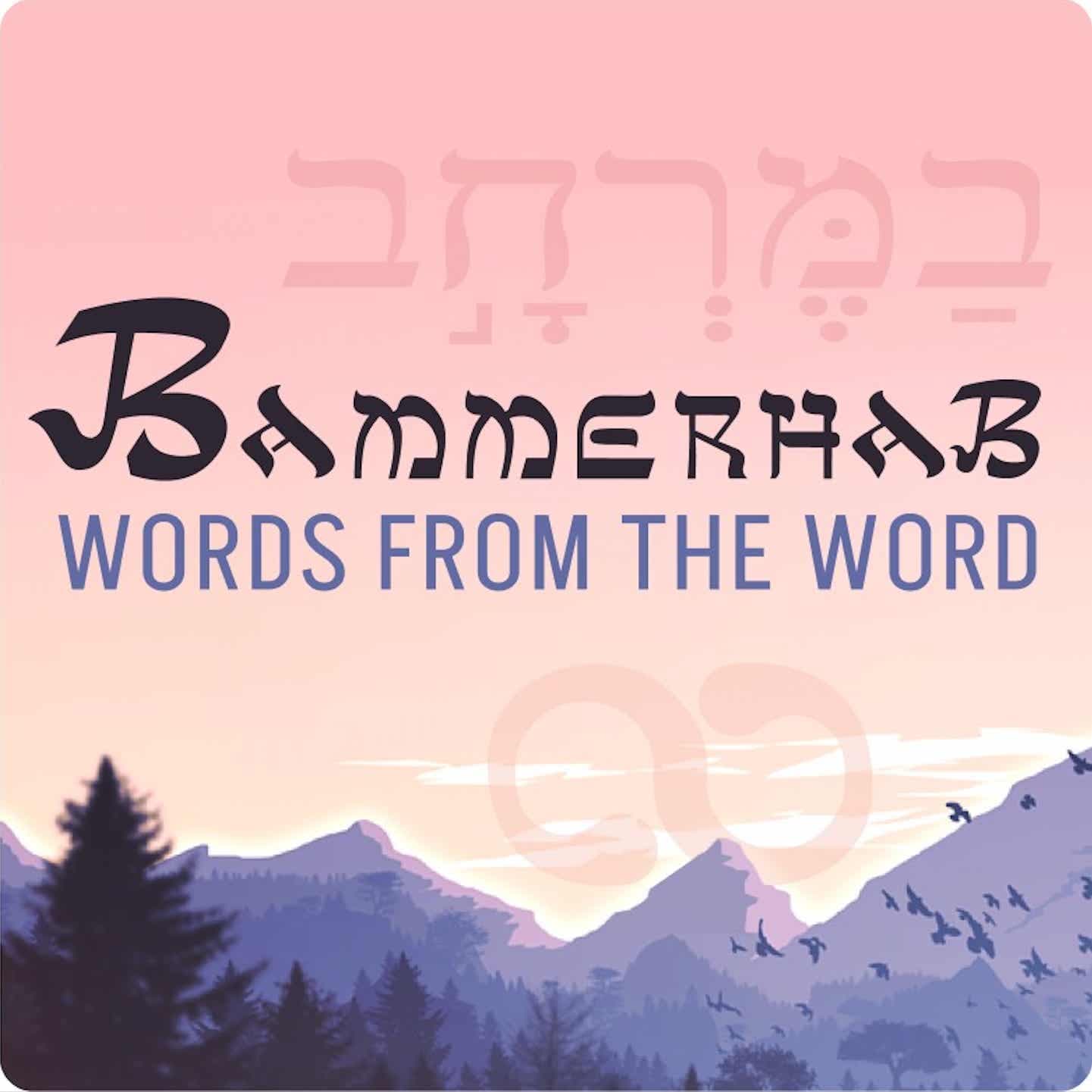 Bammerhab: Bible Explainer - Podcasts