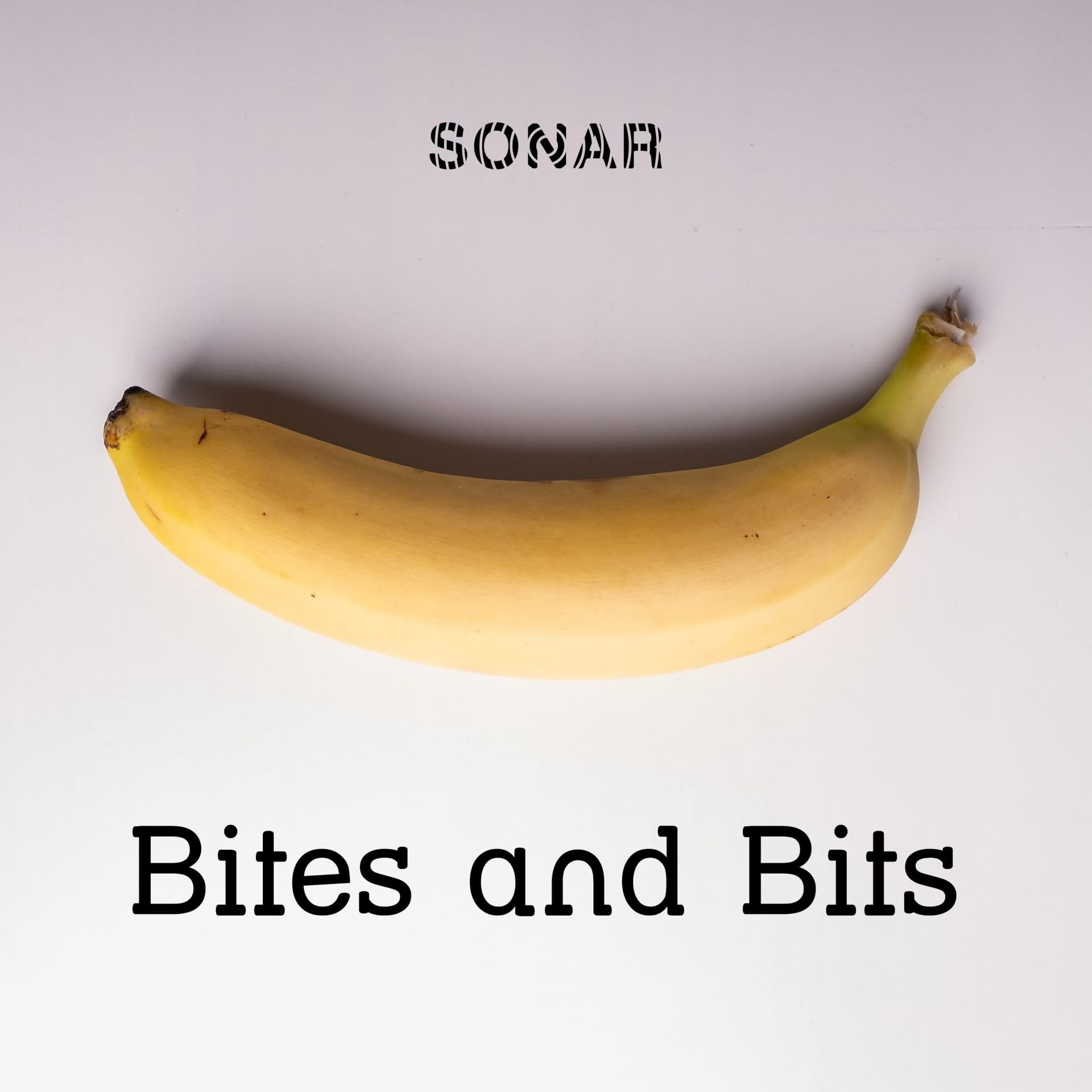 Bites and Bits - Podcasts