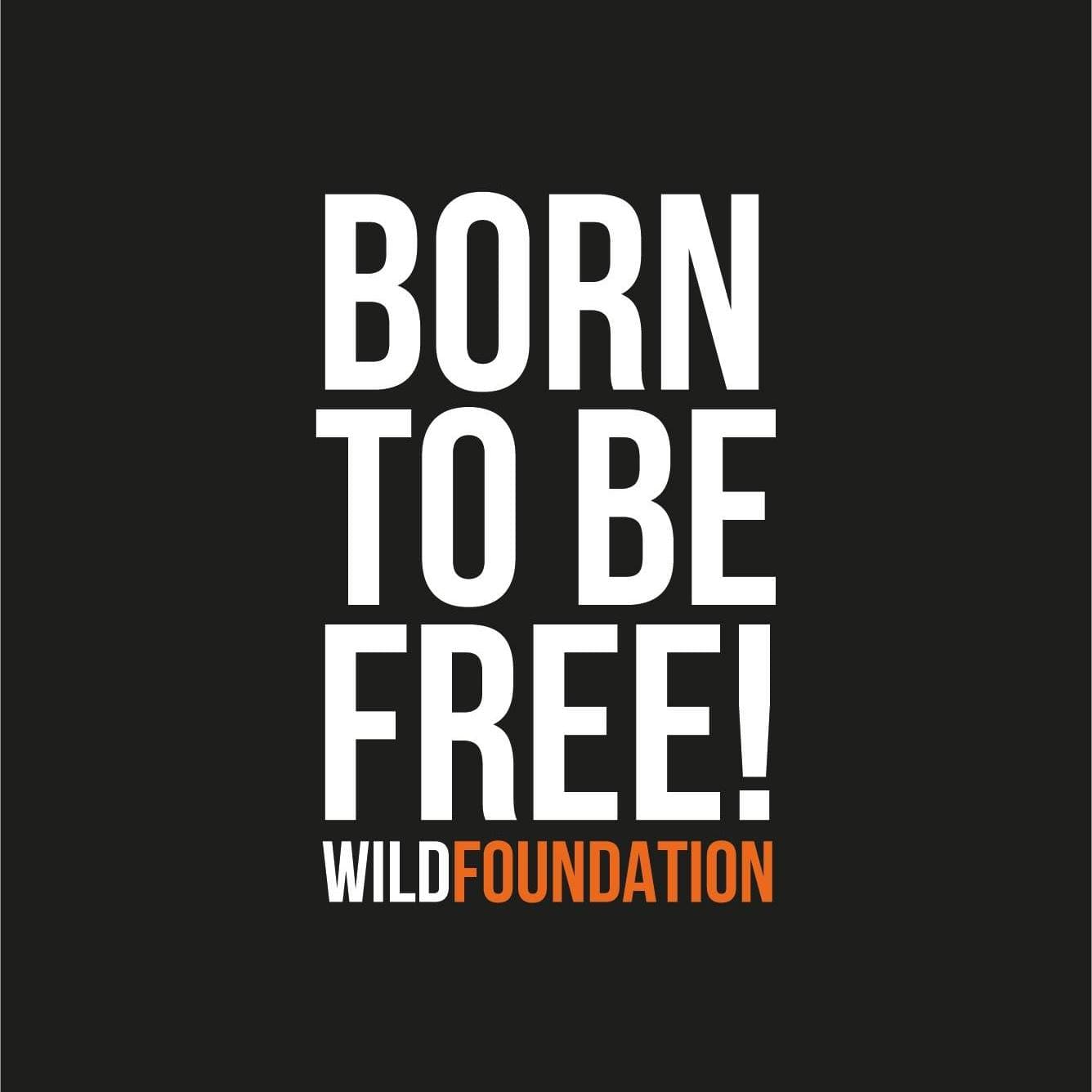 WILD Faith - Podcasts